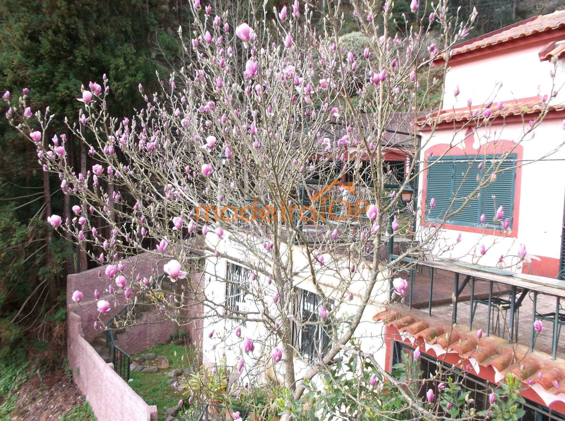 Einfamilienhaus 4+ 2/2 Schlafzimmer