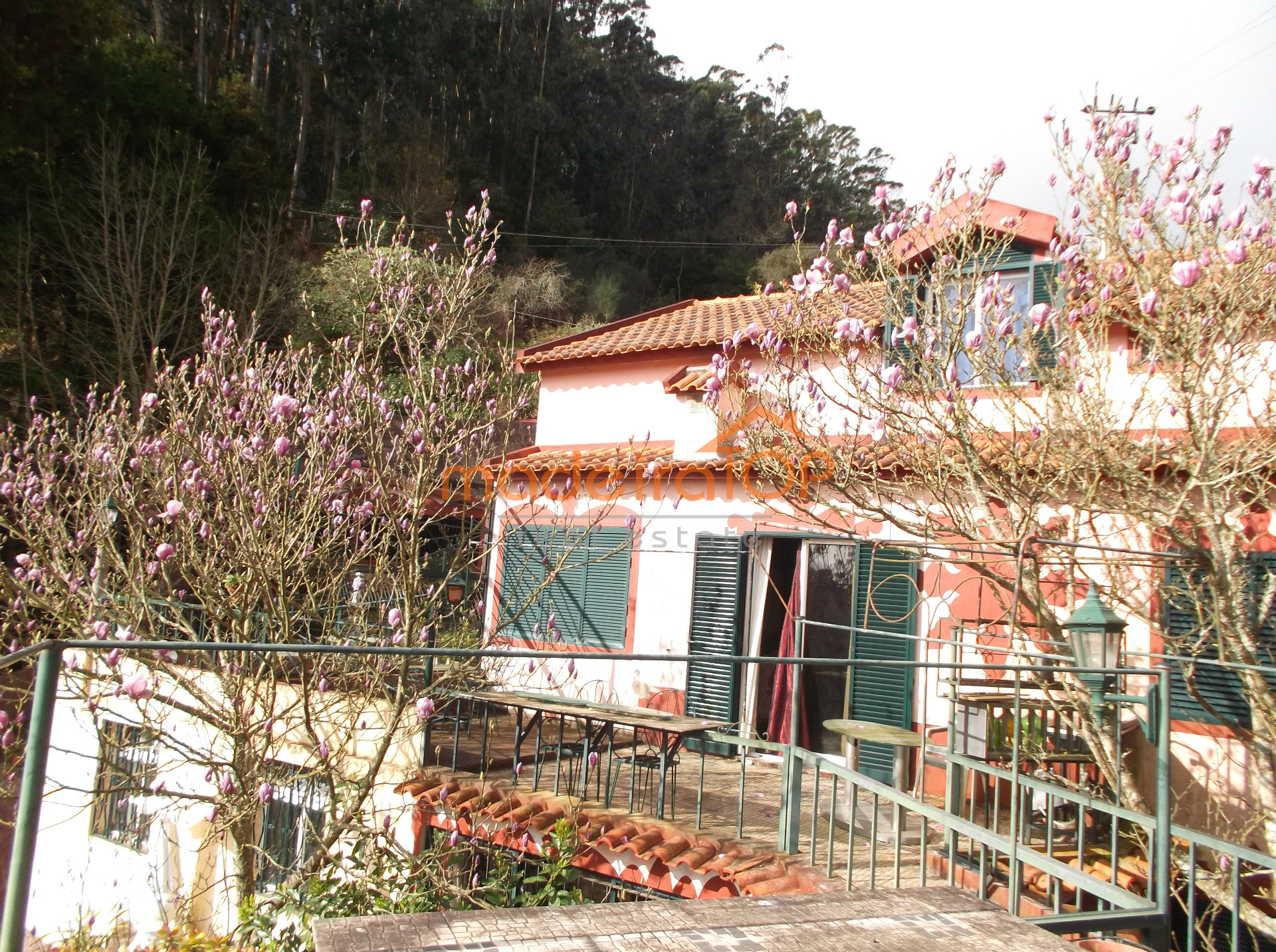 Einfamilienhaus 4+ 2/2 Schlafzimmer