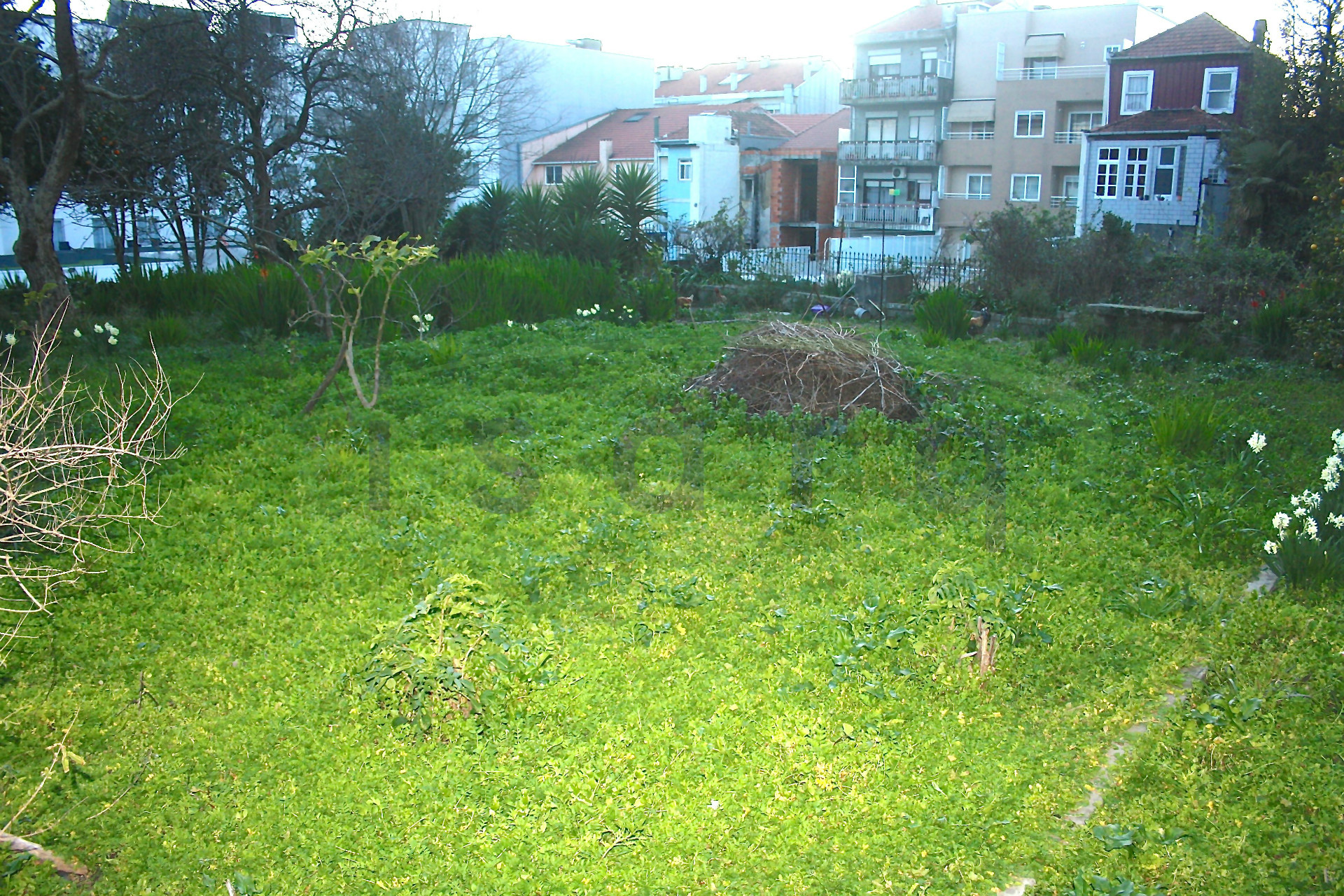 Prédio Porto Centro com grande area exterior