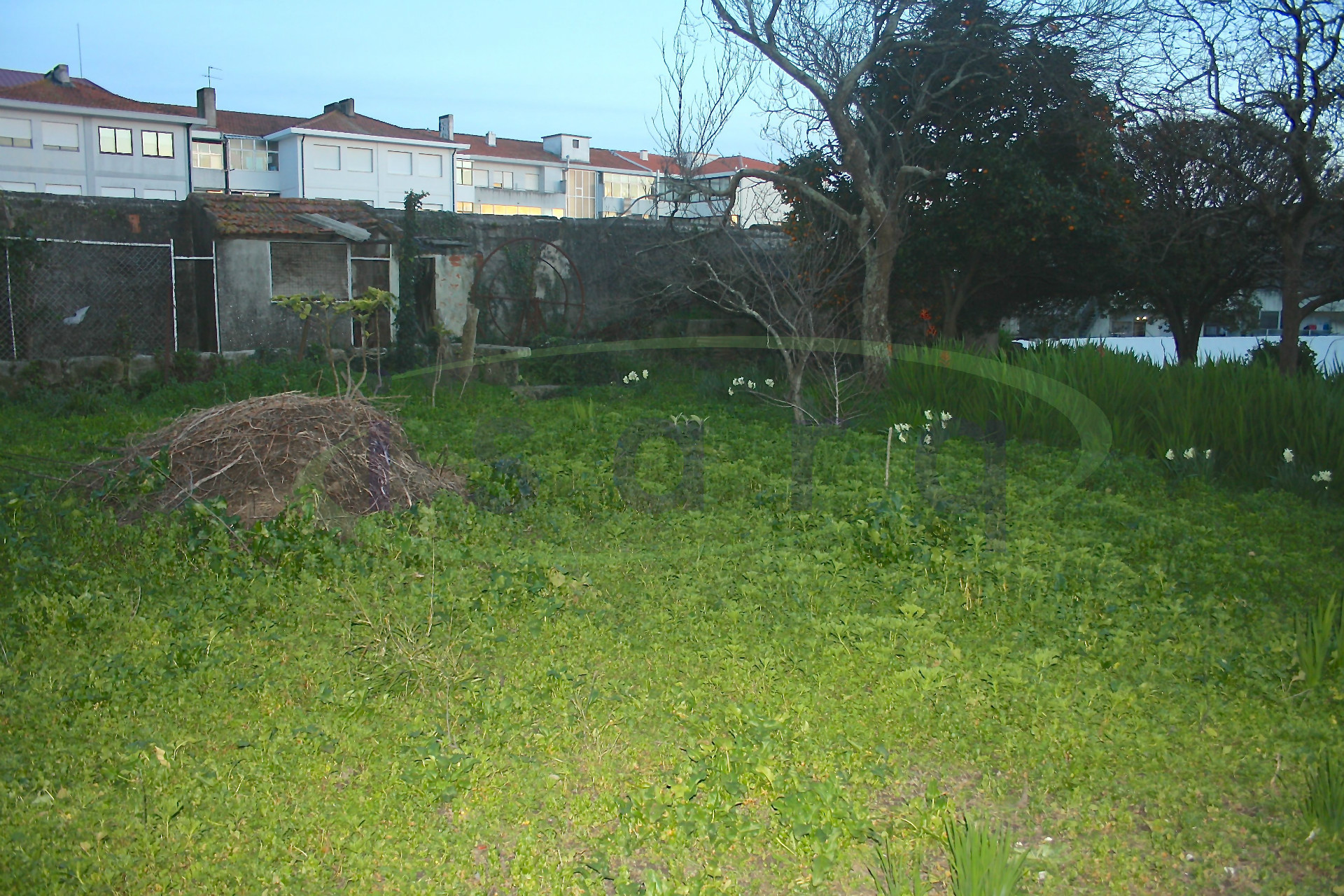 Prédio Porto Centro com grande area exterior