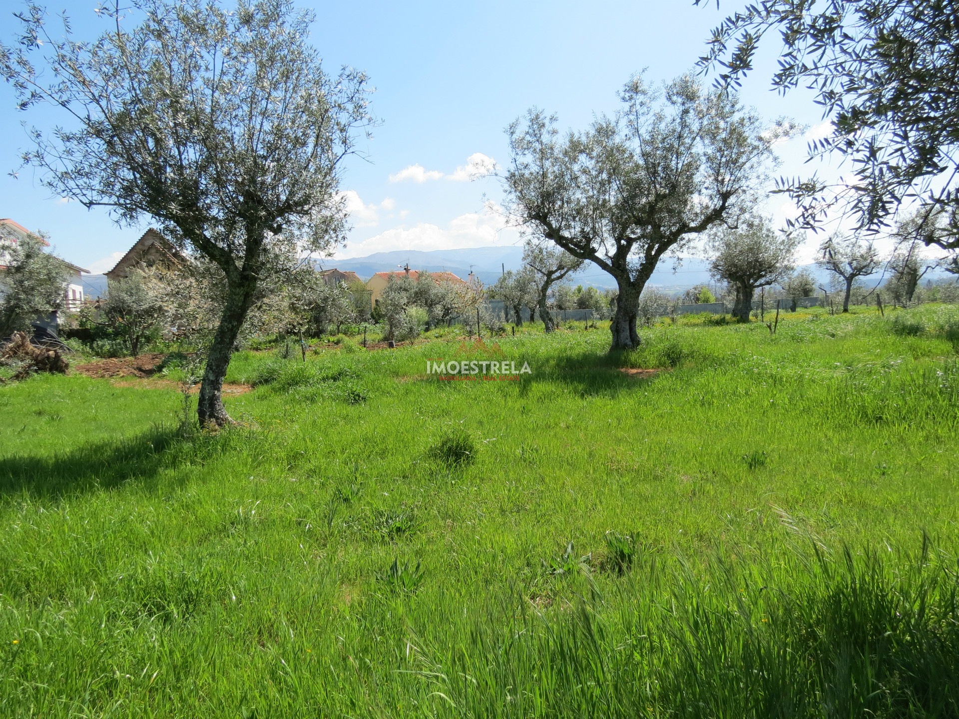 Terreno Para Construcción