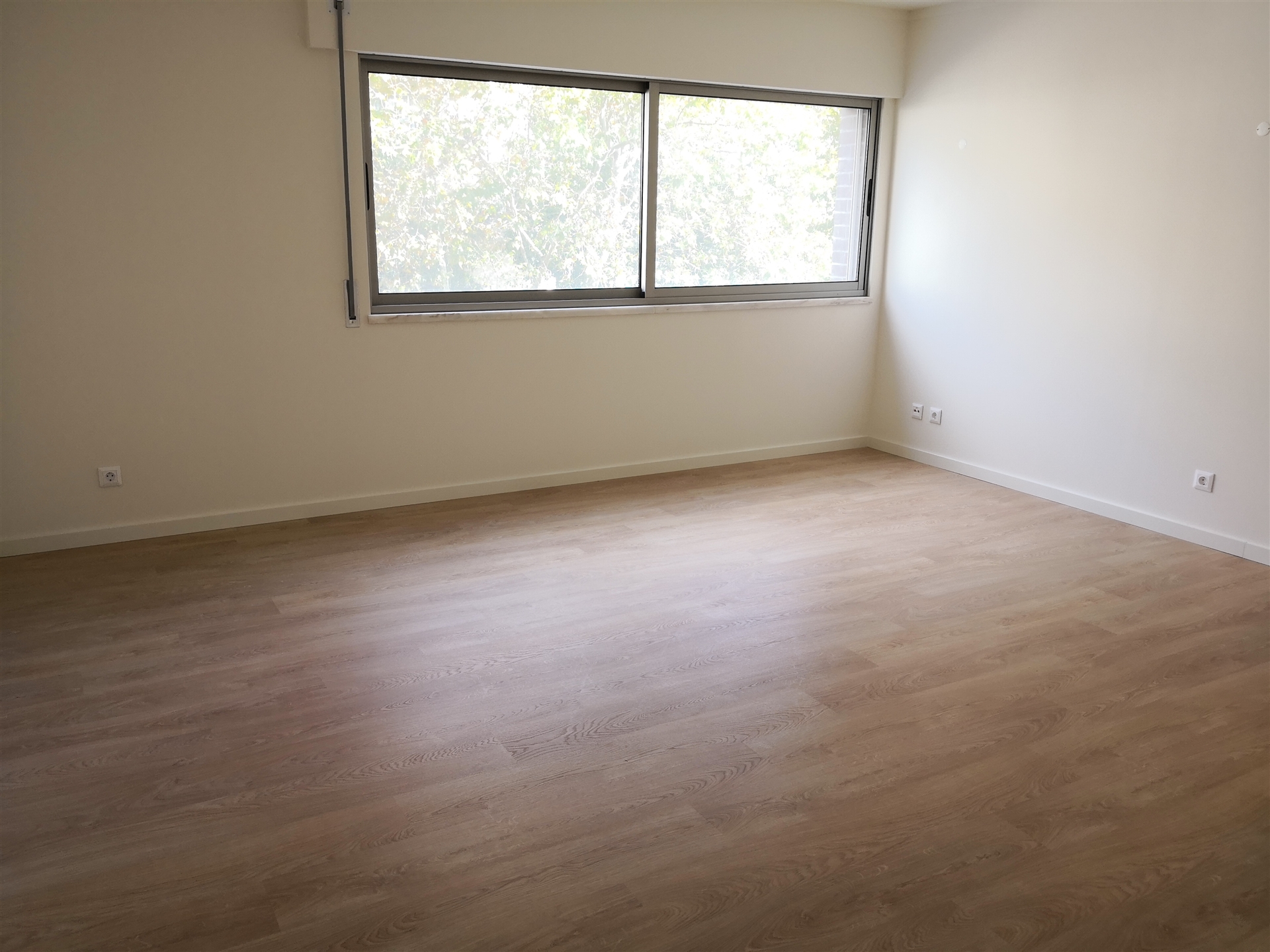 Living and Dining Room