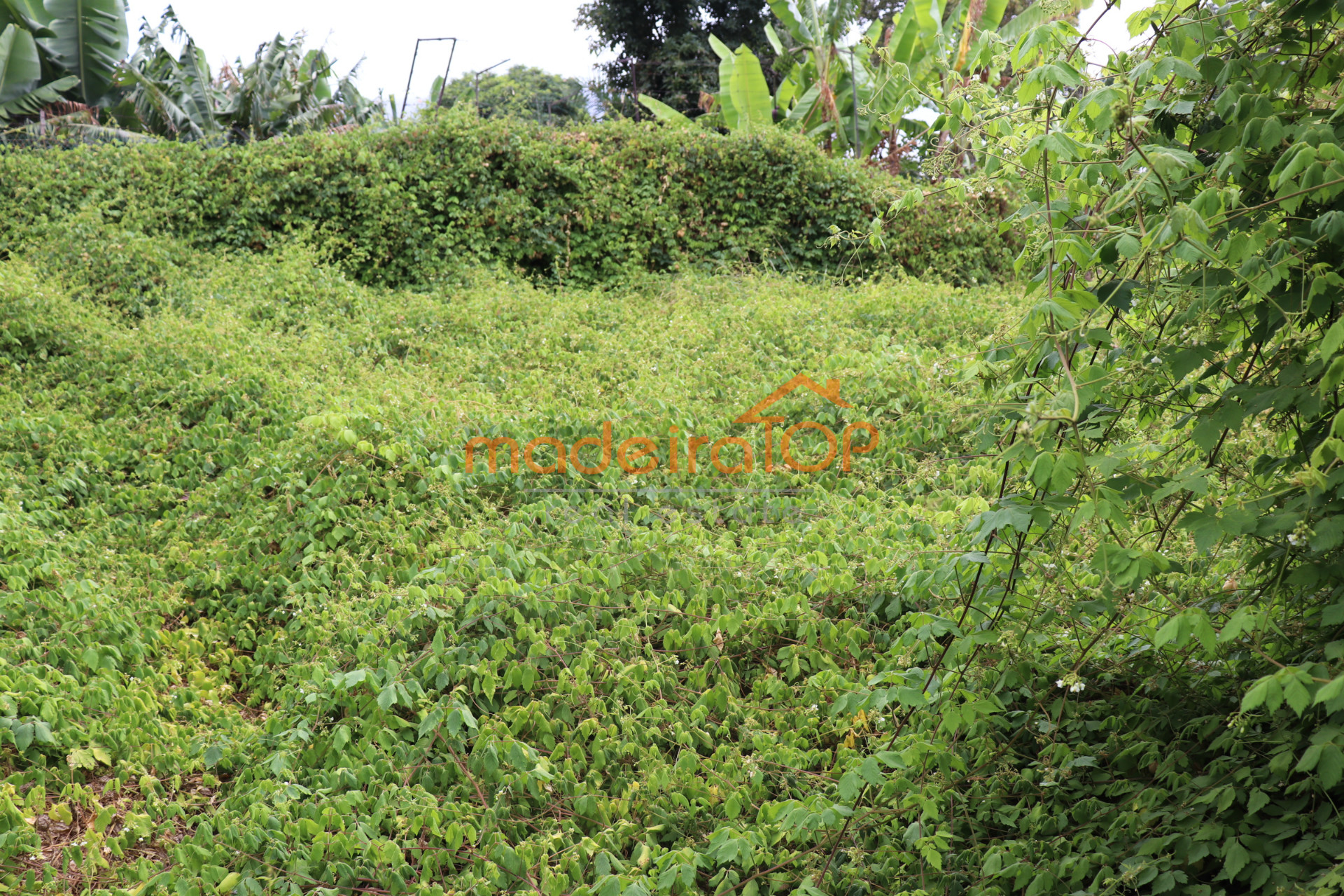 vivienda Desocupada 3 habitaciones