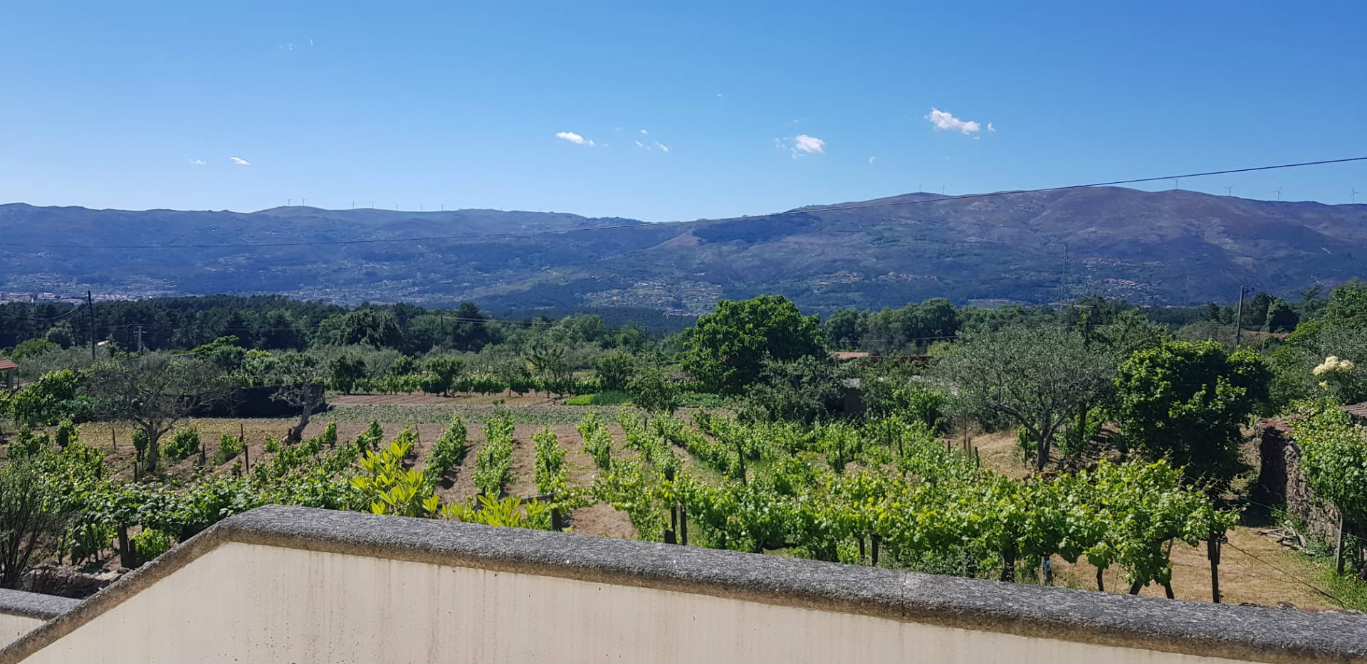 Guest House Brasonada com Yield Bruta de 9% (projectada)