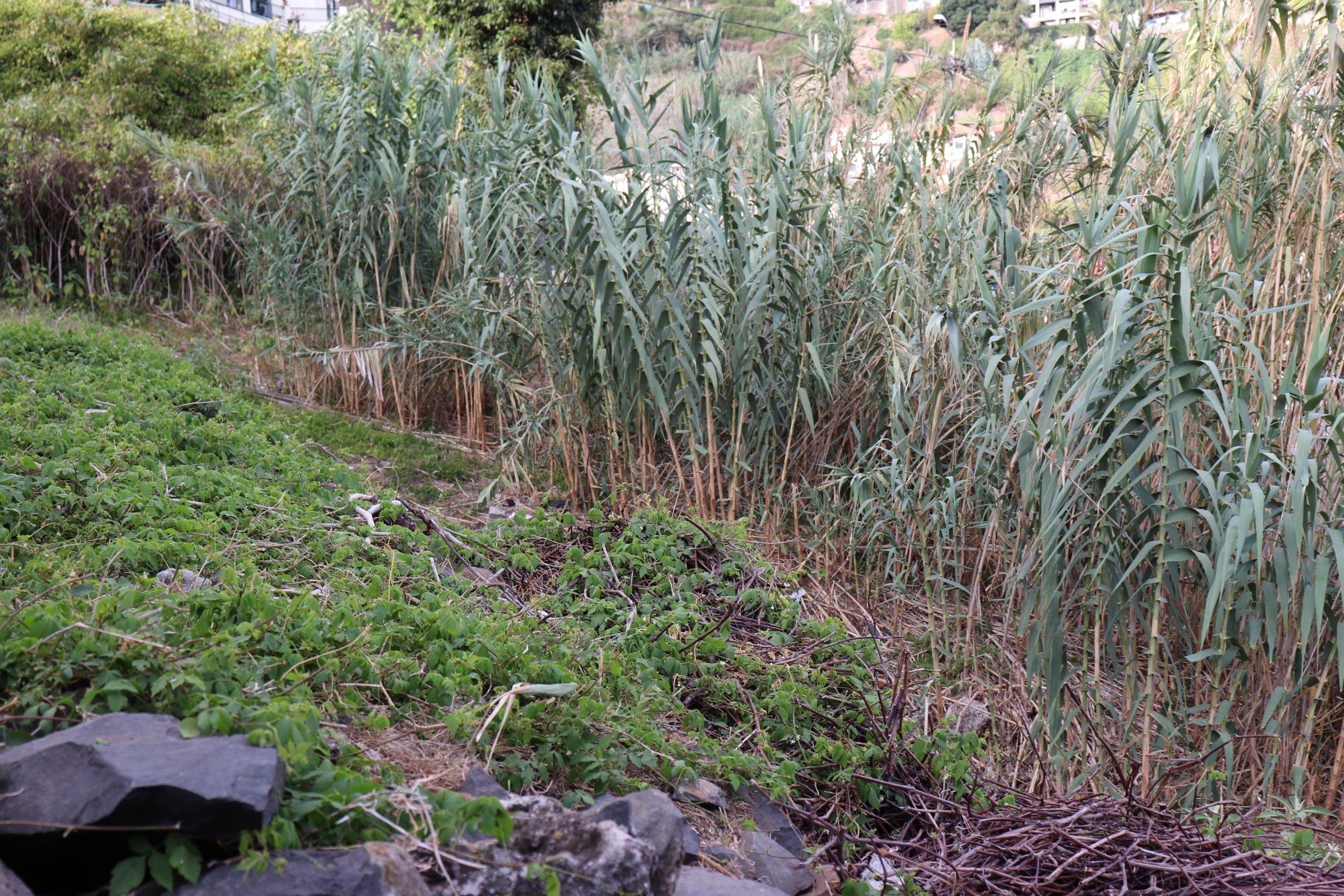 Piece of Real Estate