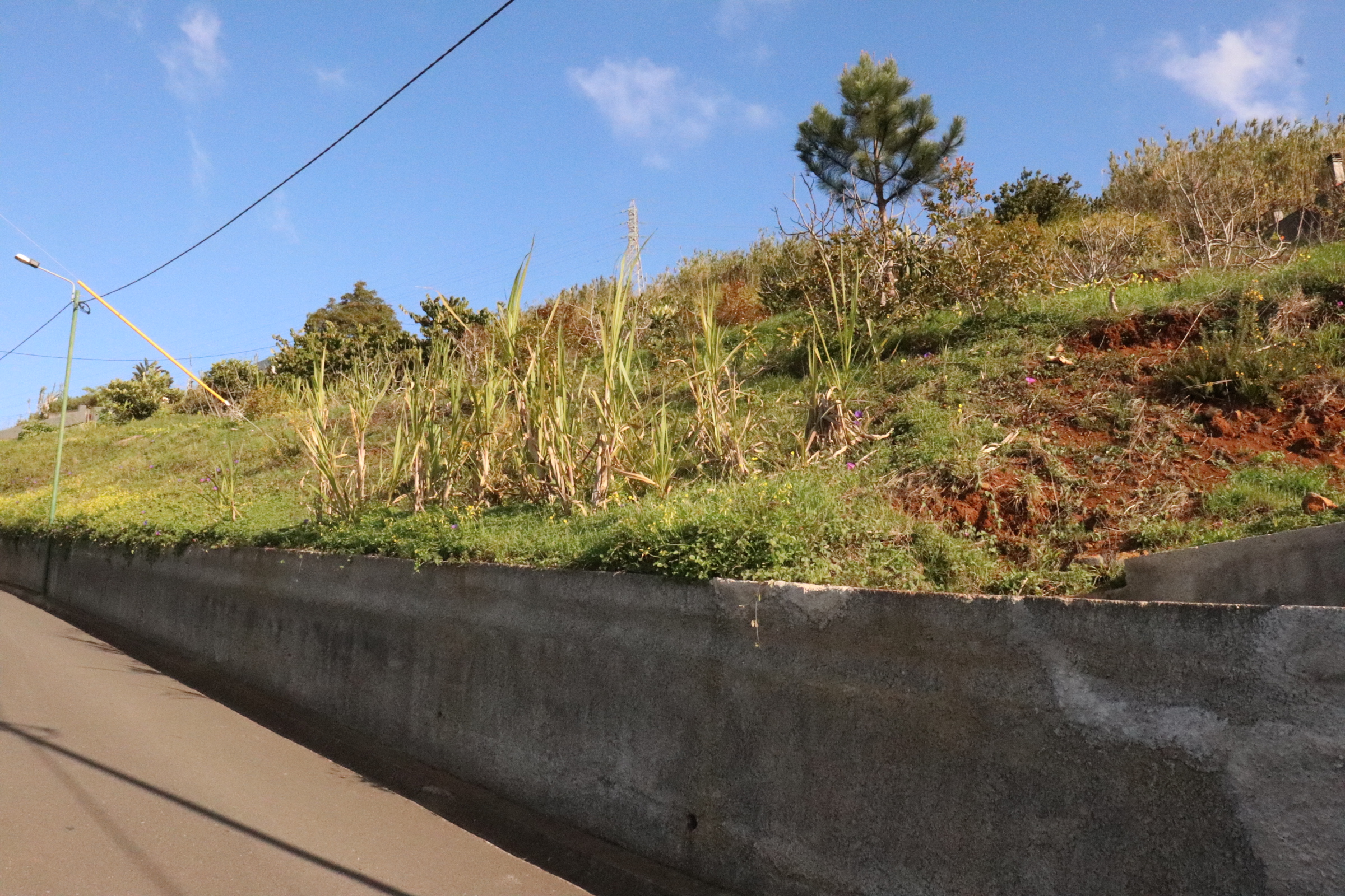 Lotissement de terrain