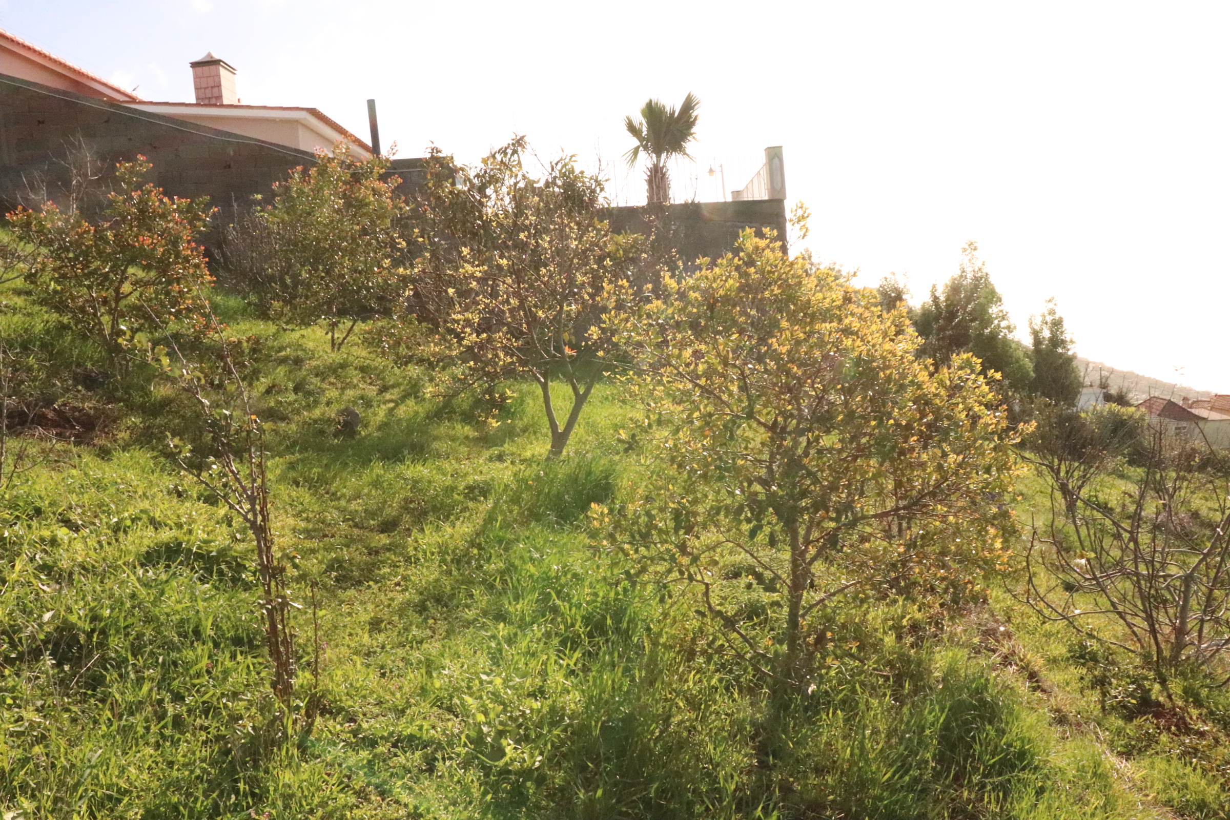 Lotissement de terrain