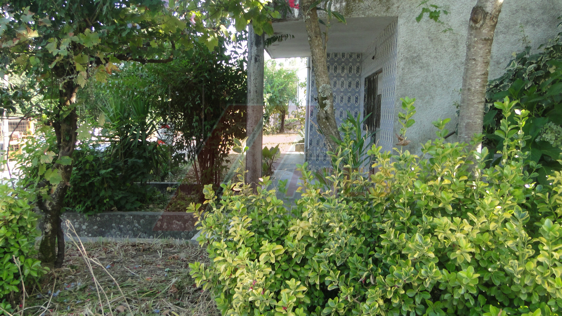 Vivienda 6 habitaciones