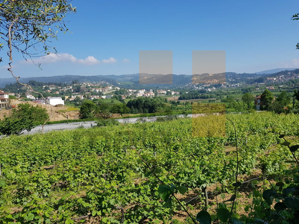 Authentieke woning 2 kamerwoning