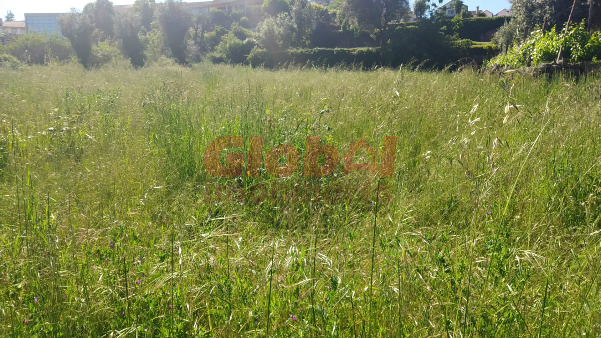 Terreno Para Construção