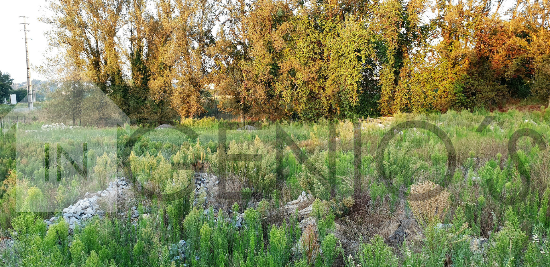 Panoramisch uitzicht