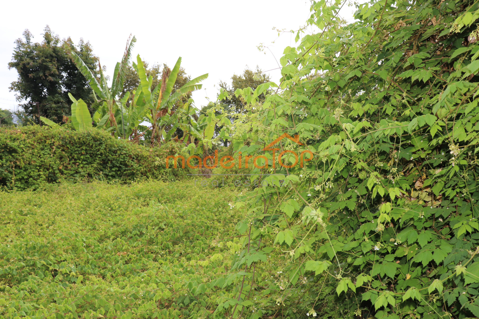 vivienda Desocupada 3 habitaciones