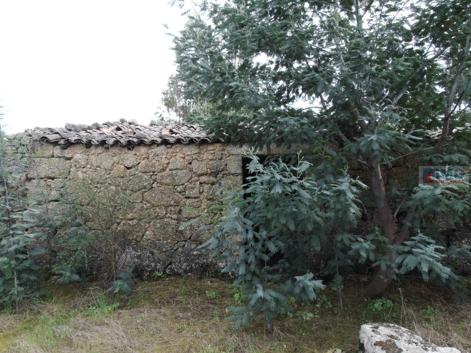 Quinta no Palvarinho com 7000m2