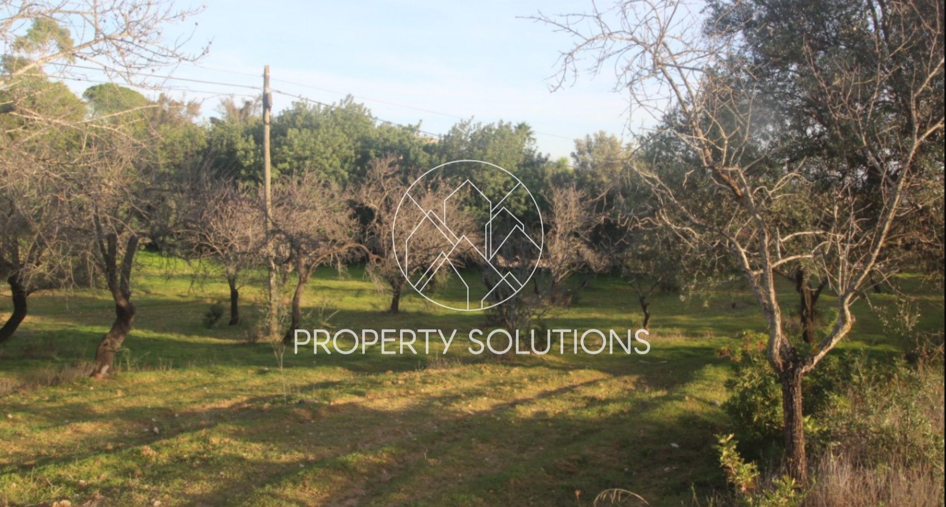 Fattoria / Cascina / Casale 3 Vani