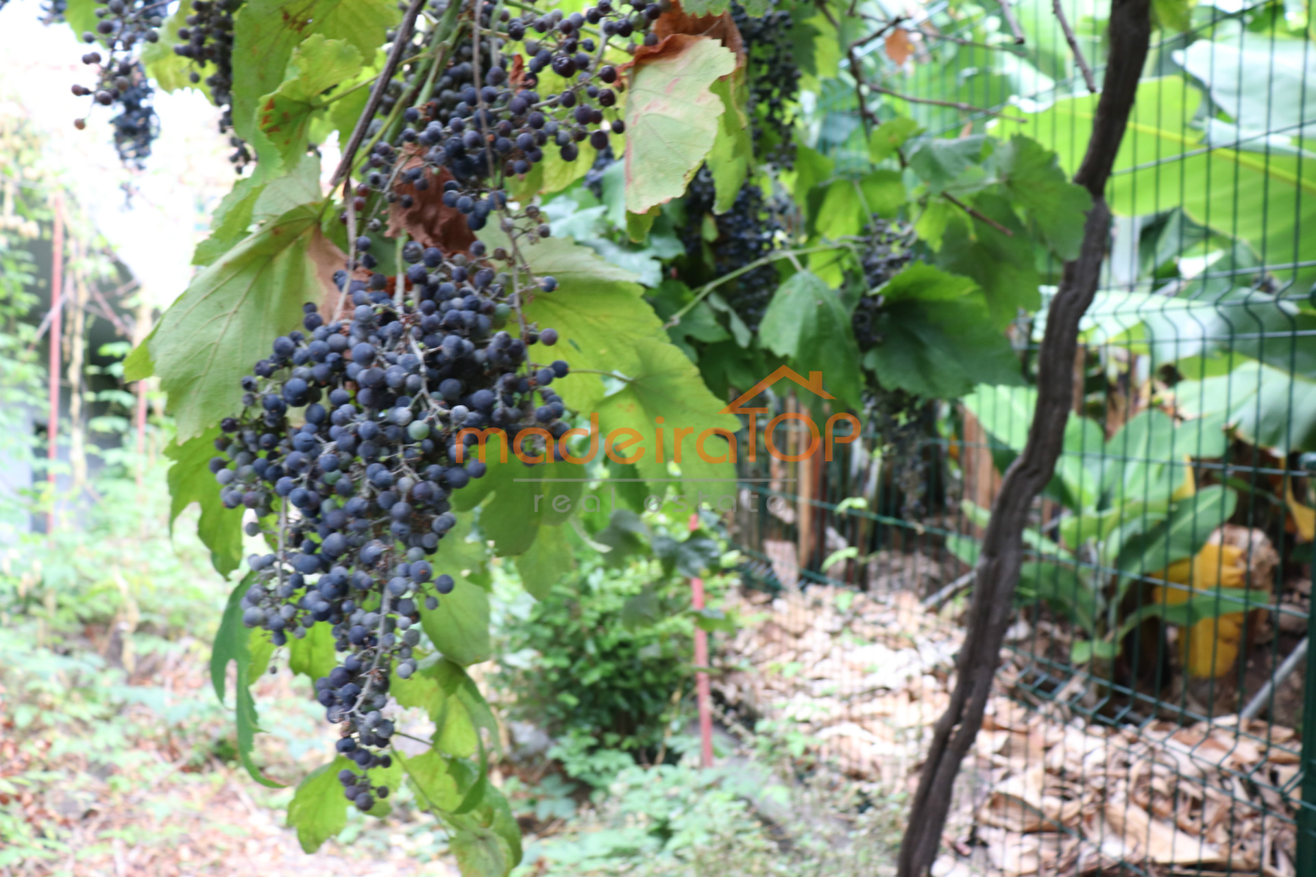 vivienda Desocupada 3 habitaciones