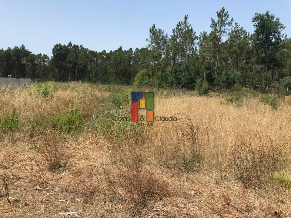 Terreno Para Construção