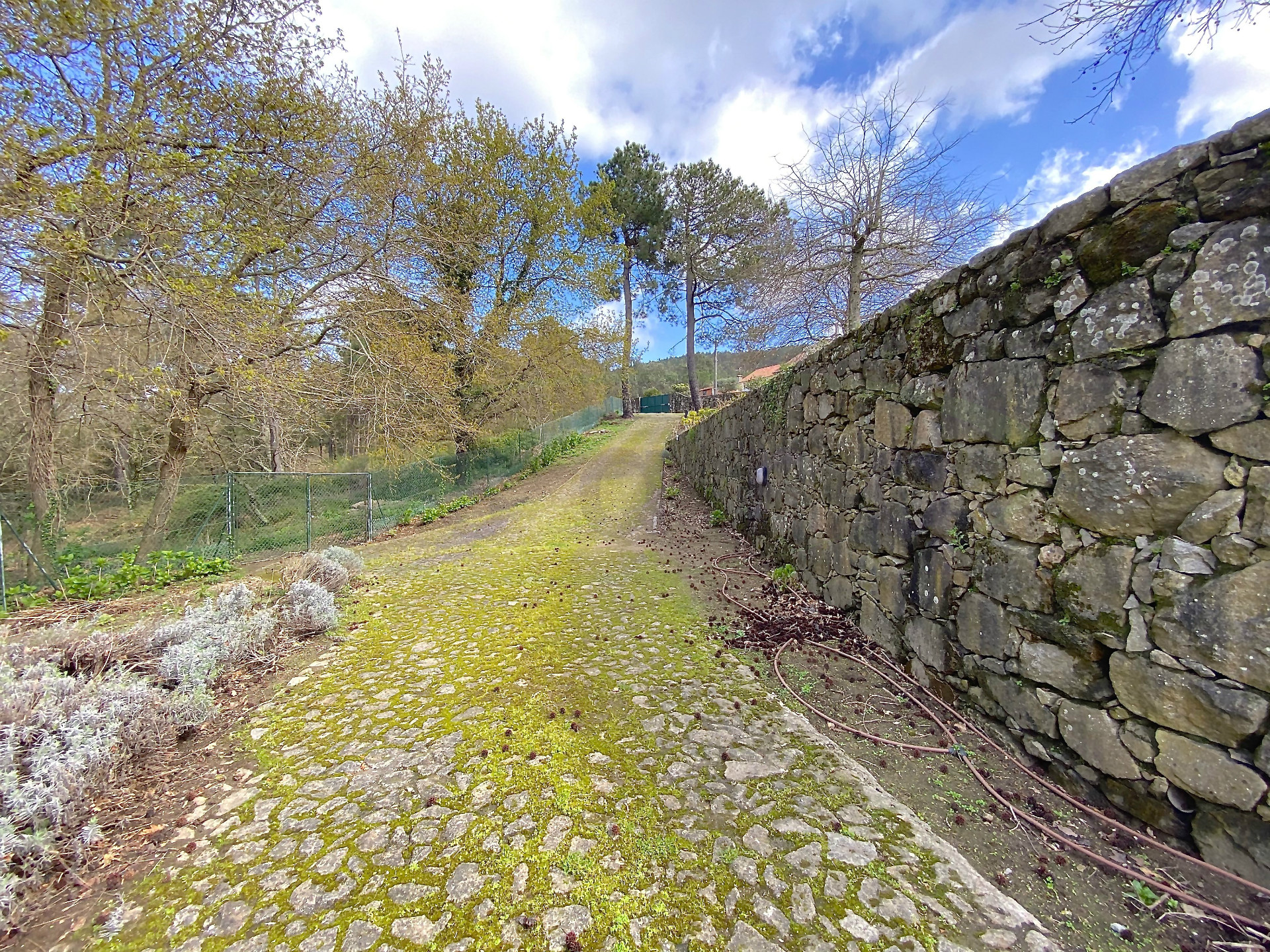 Rural Tourism Farm plot on the Caminho de Santiago