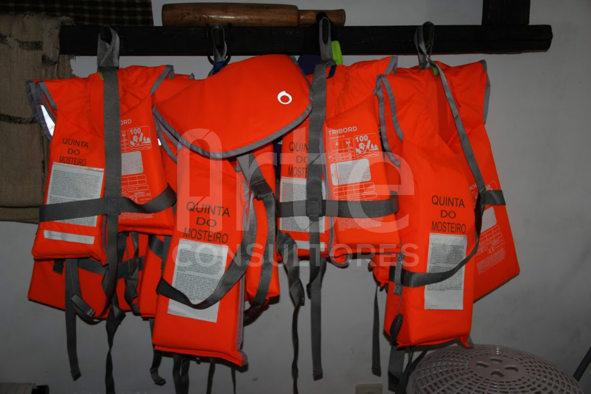 Quinta T3 em Couto Esteves para AL