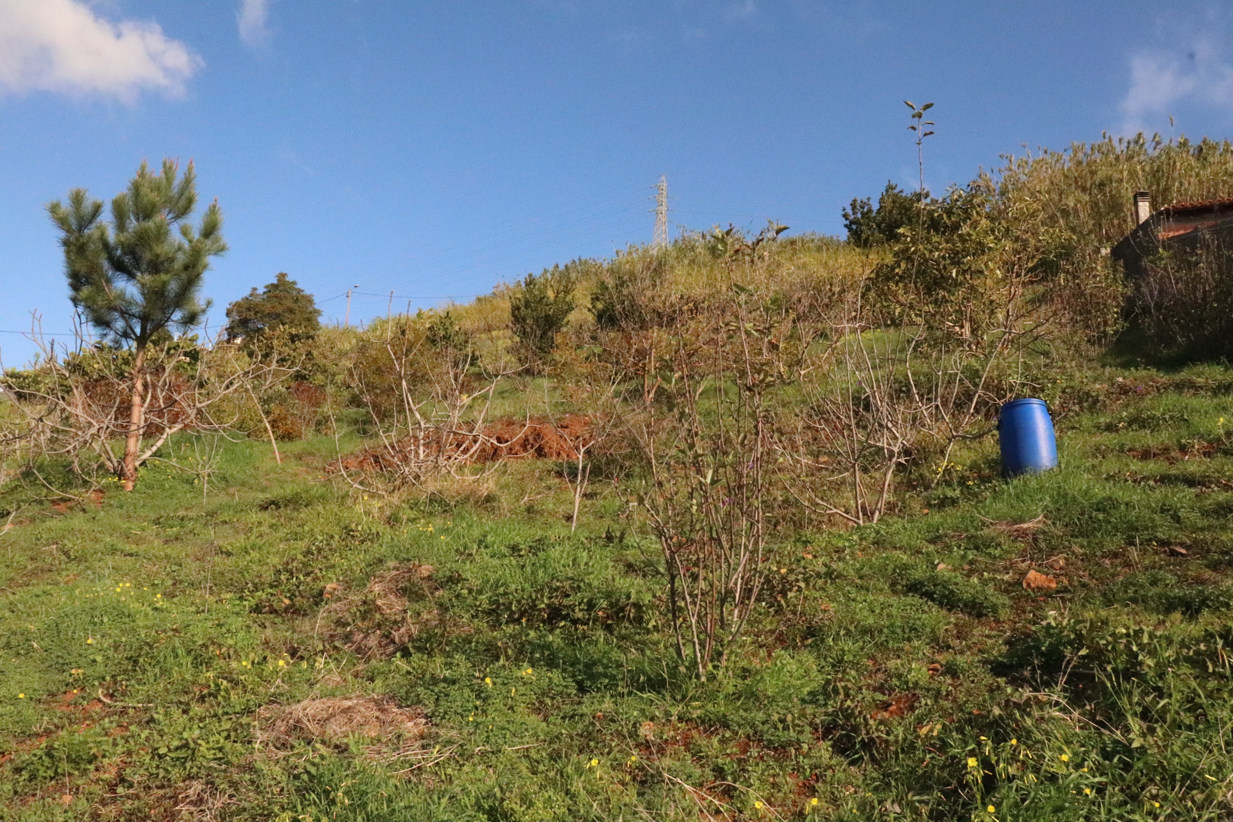 Lotissement de terrain