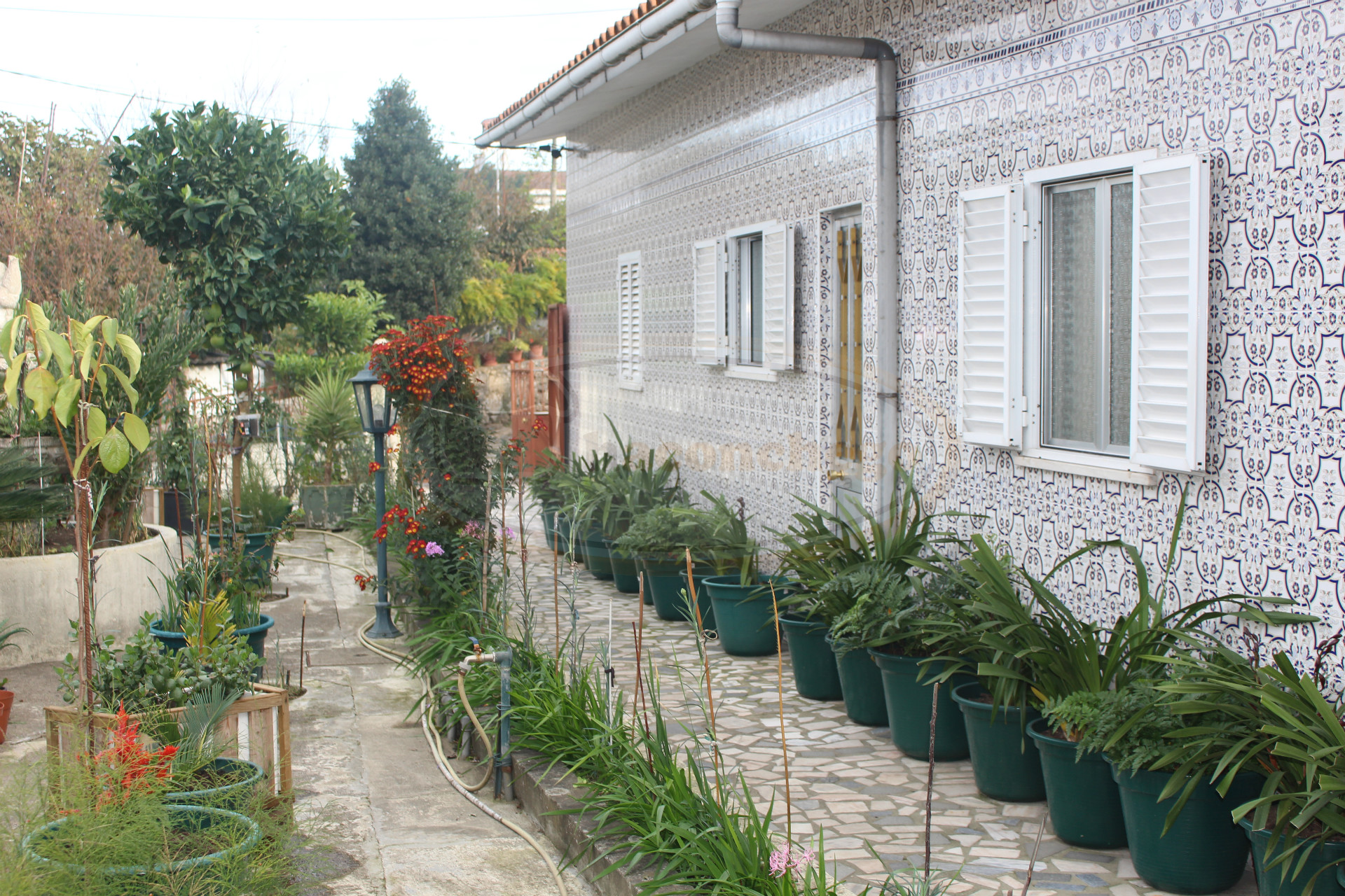 Vivienda 3 habitaciones