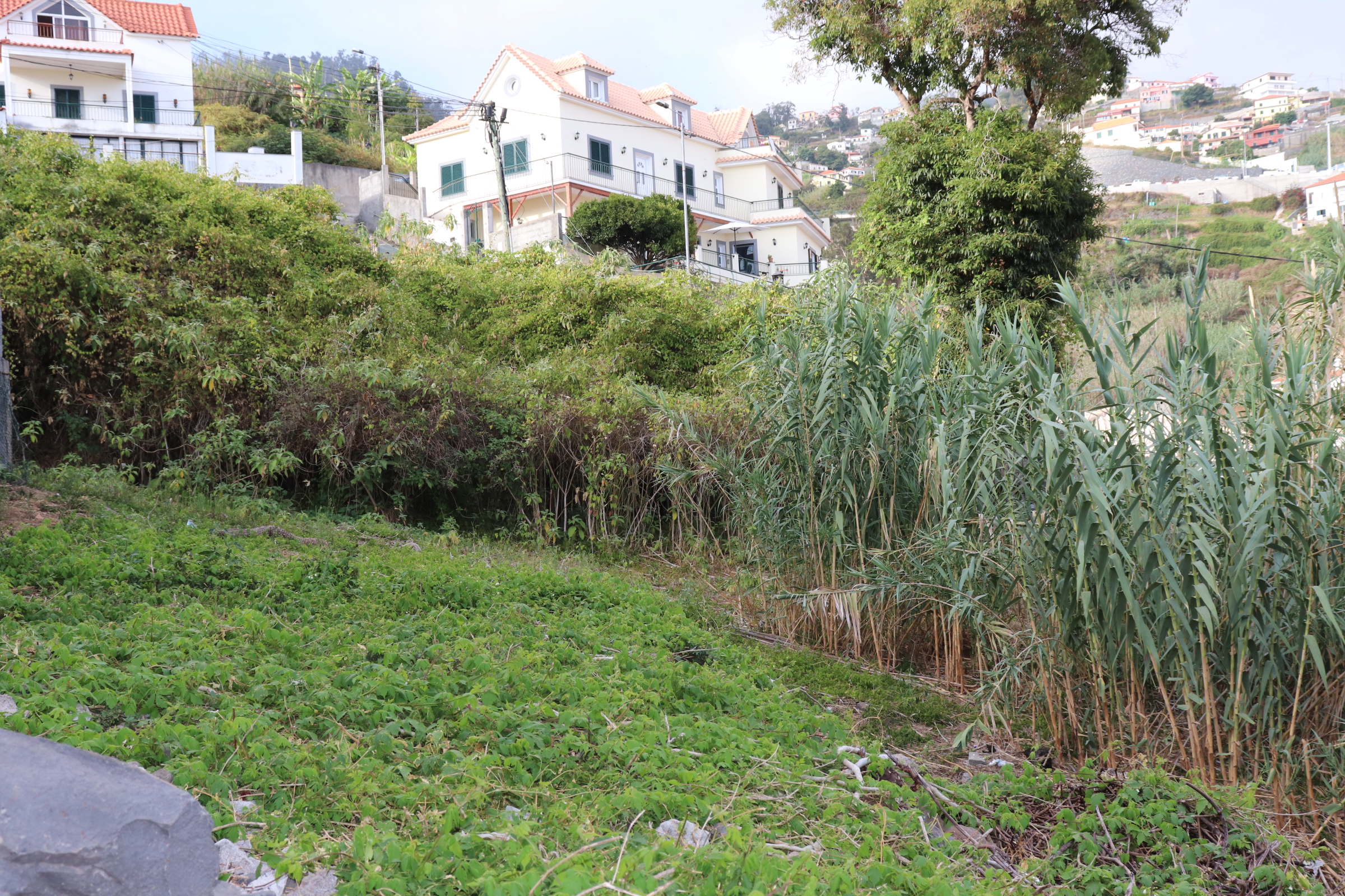 Piece of Real Estate