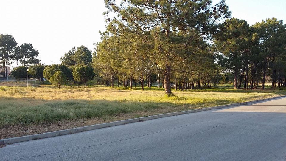 Maison jumelée 3 Chambre(s)