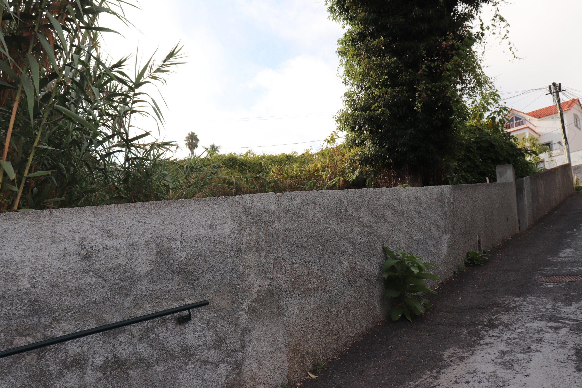 Piece of Real Estate