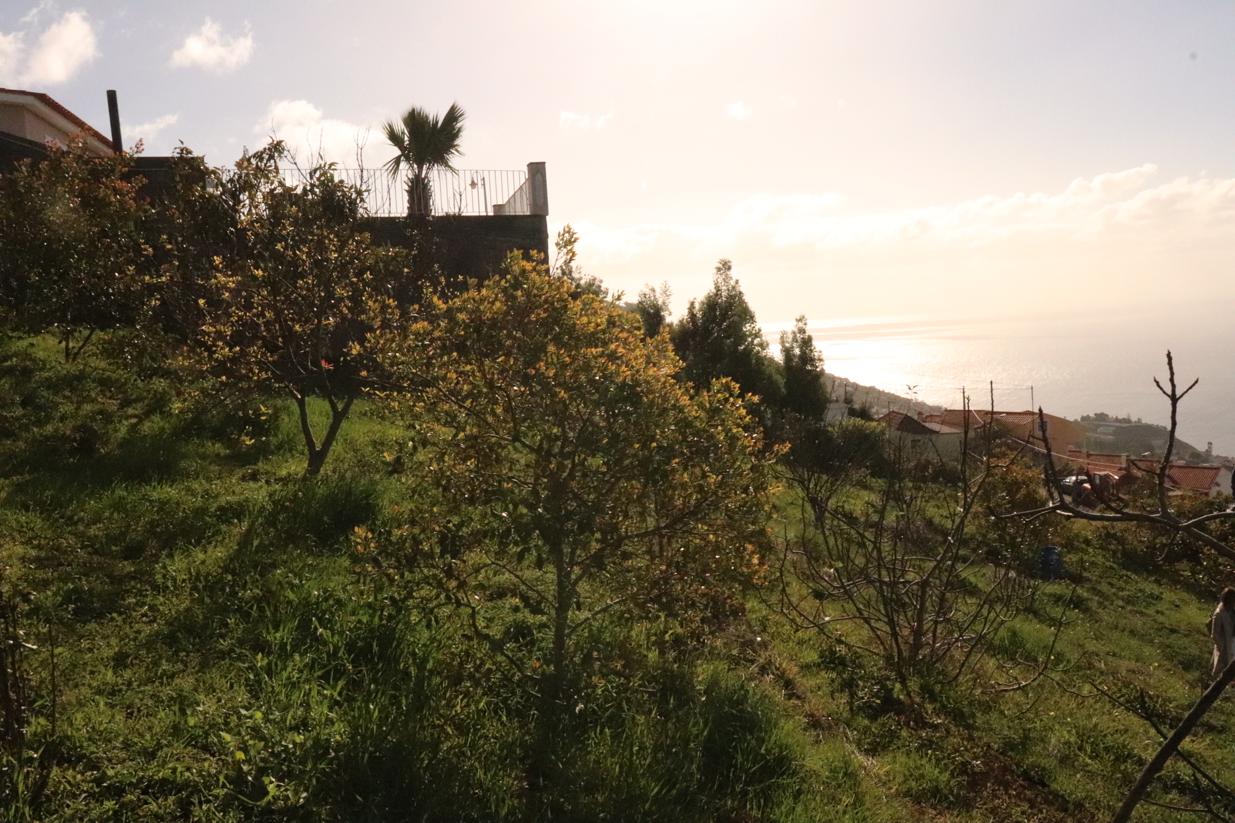 Lotissement de terrain