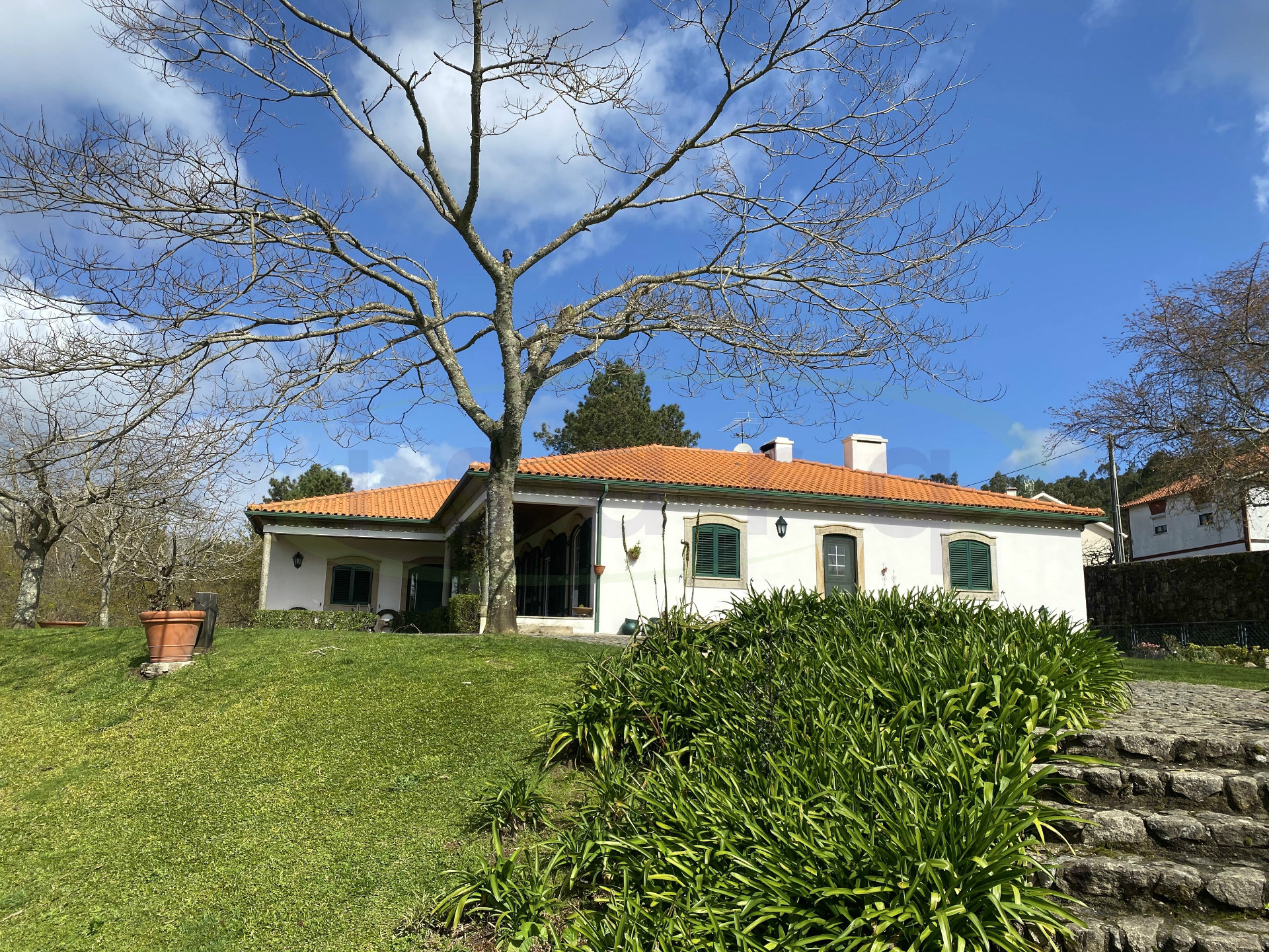 Rural Tourism Farm plot on the Caminho de Santiago