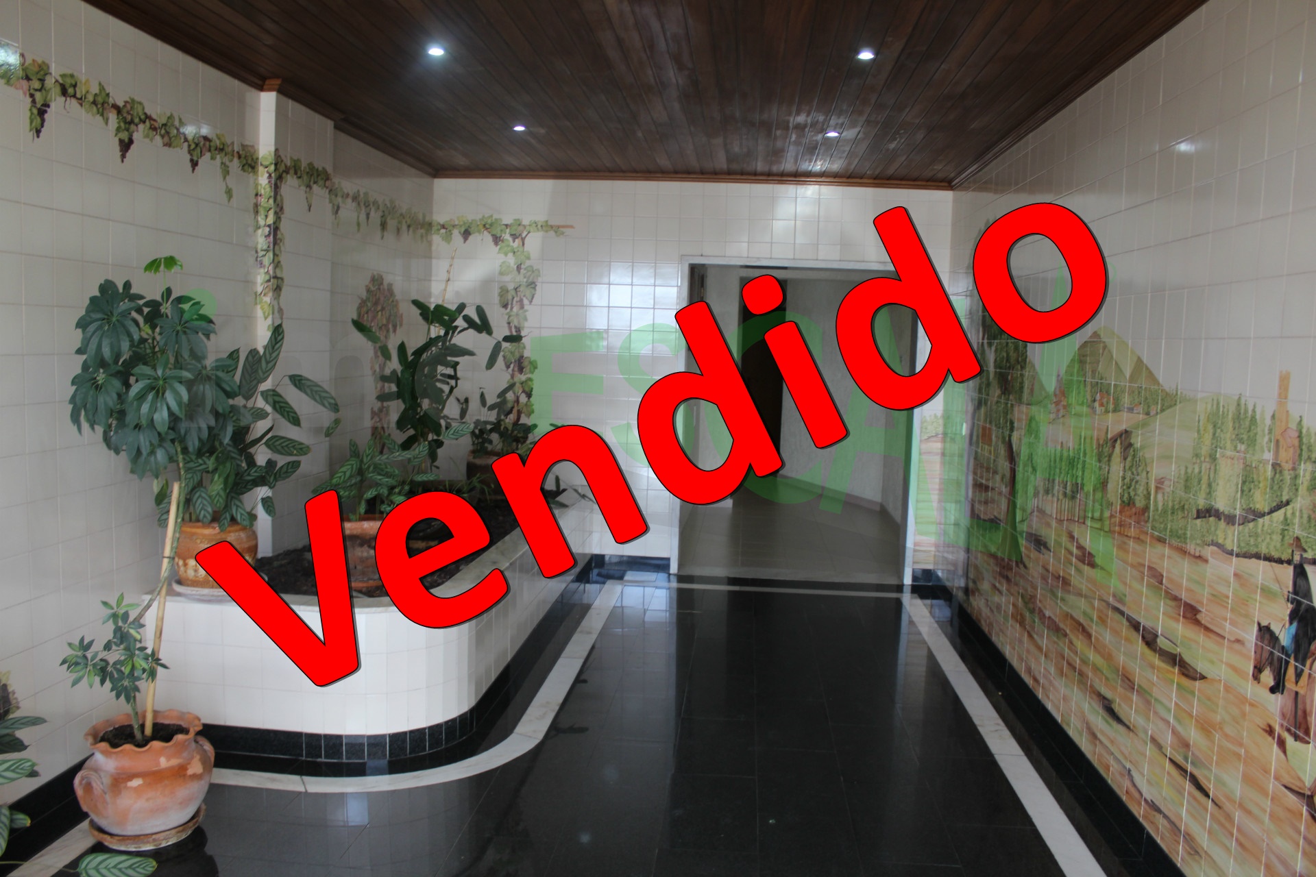 Apartamento T2