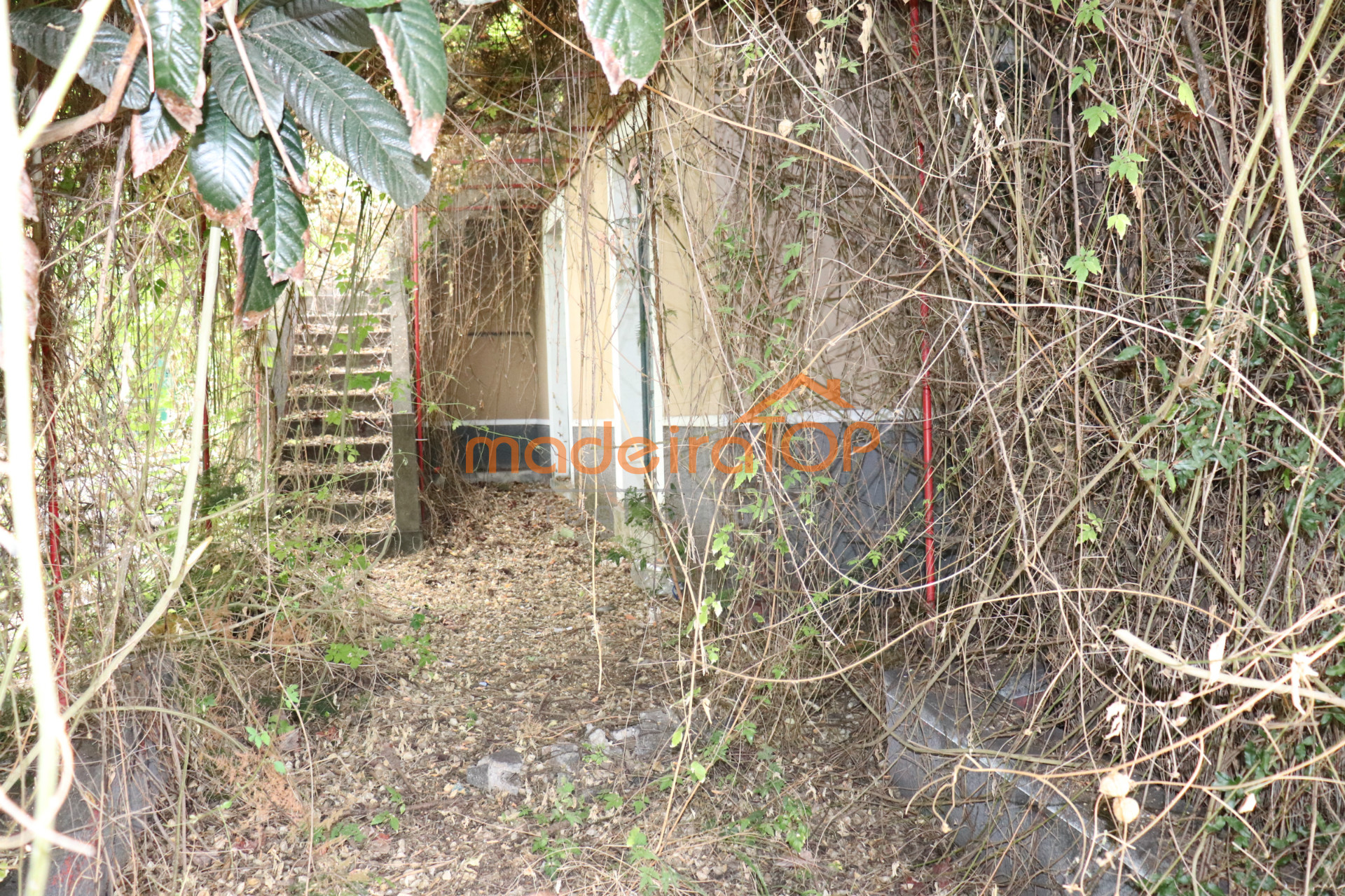 vivienda Desocupada 3 habitaciones