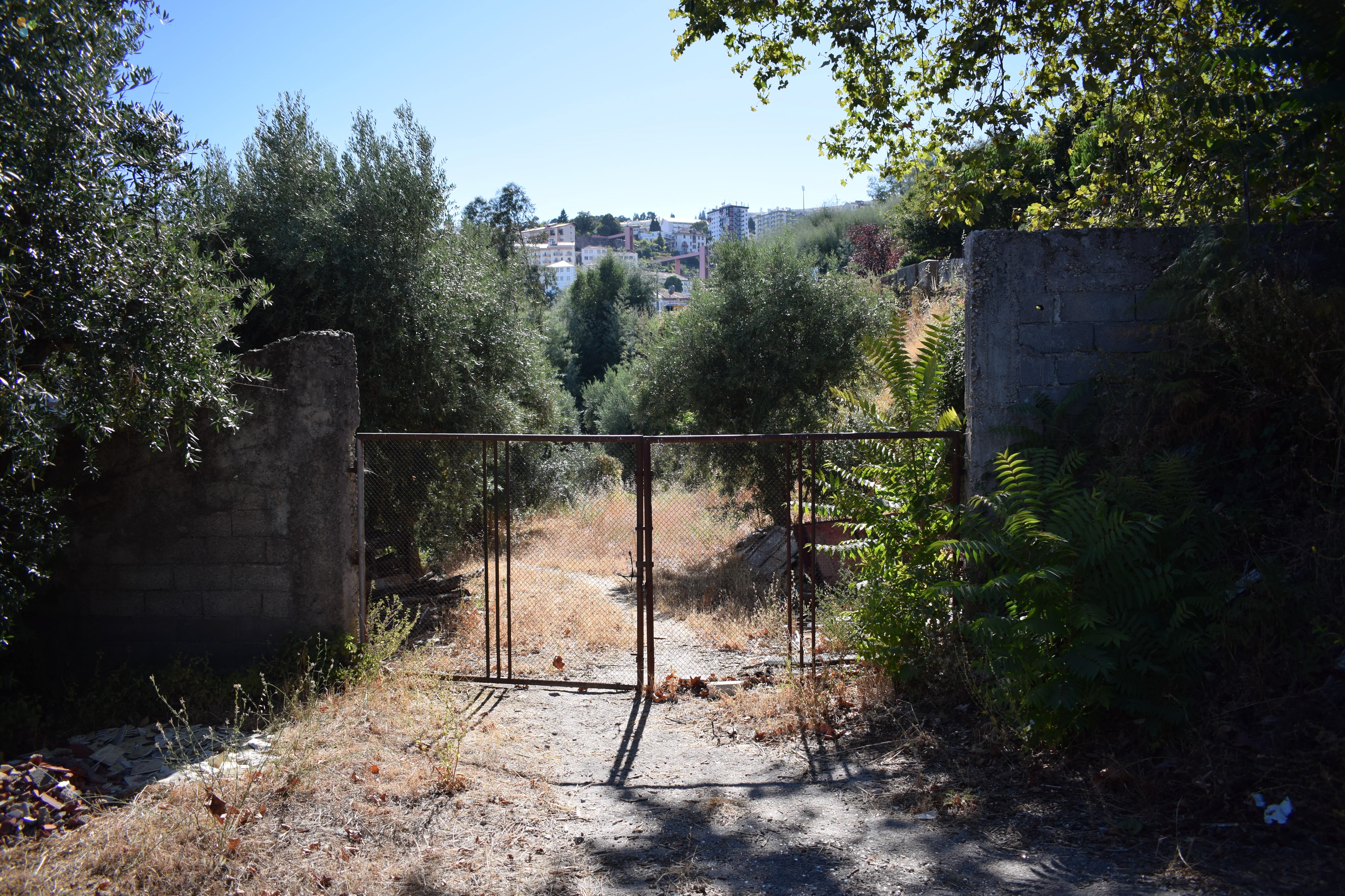 Terreno Covilhã