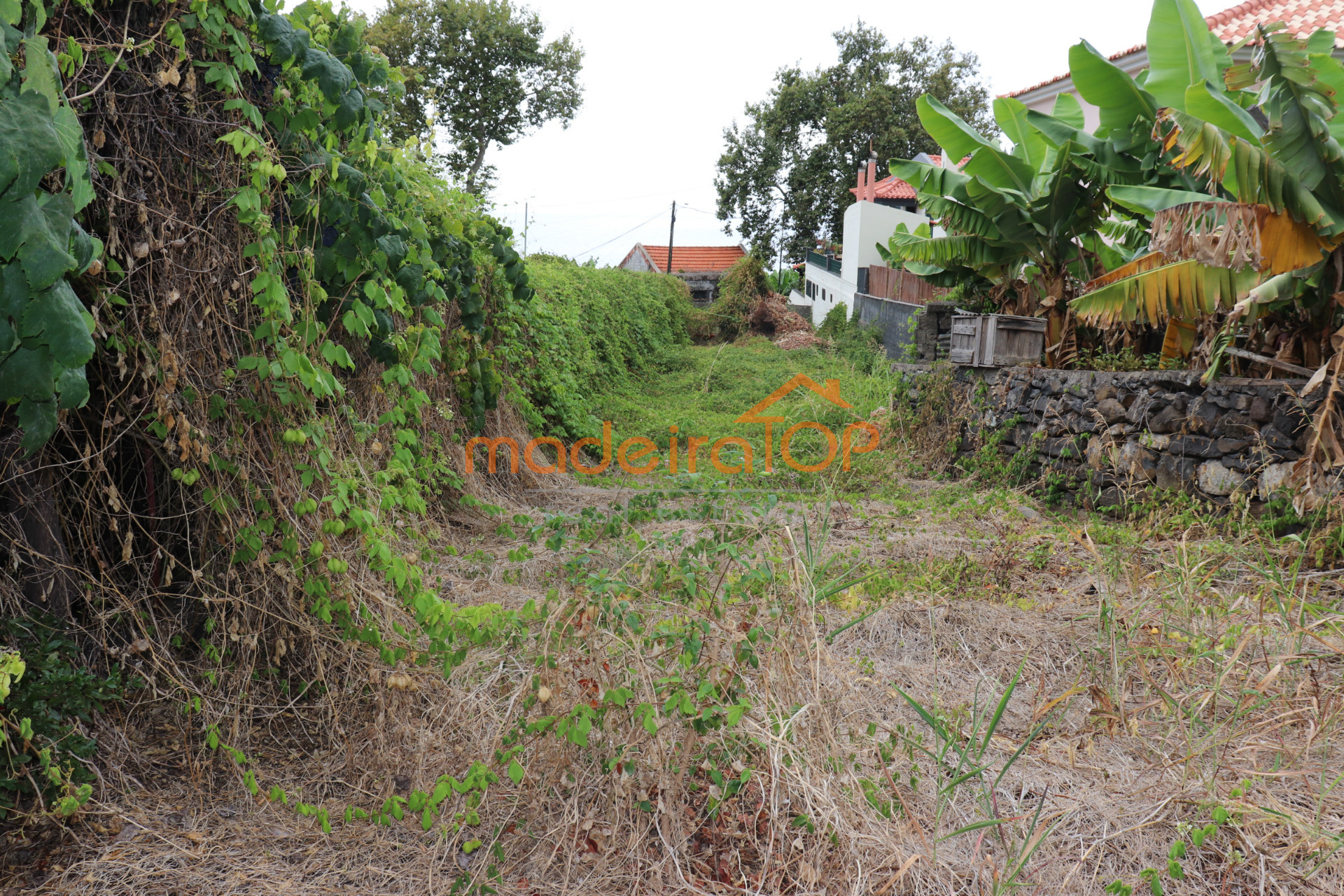 vivienda Desocupada 3 habitaciones