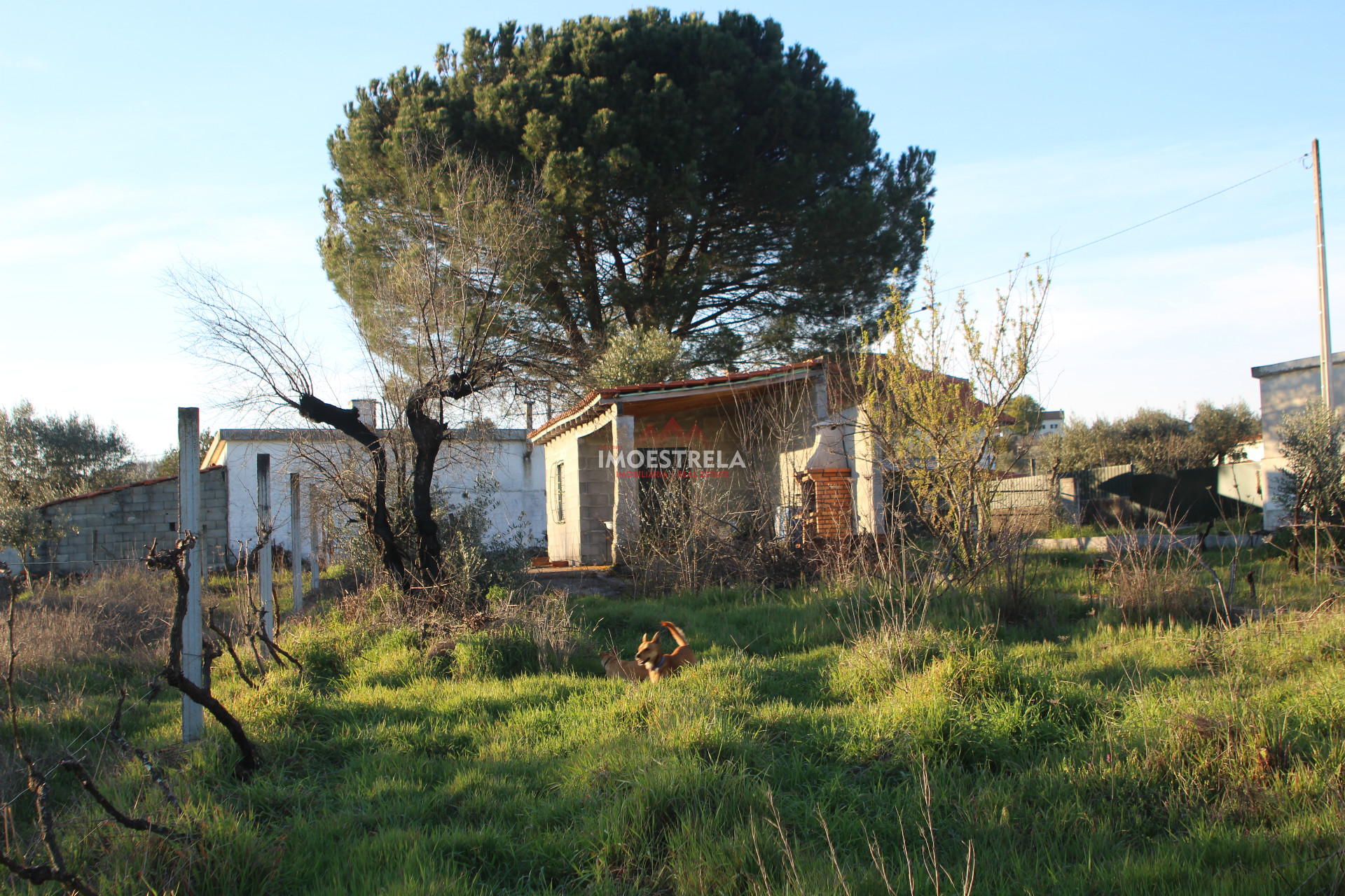 Terreno
