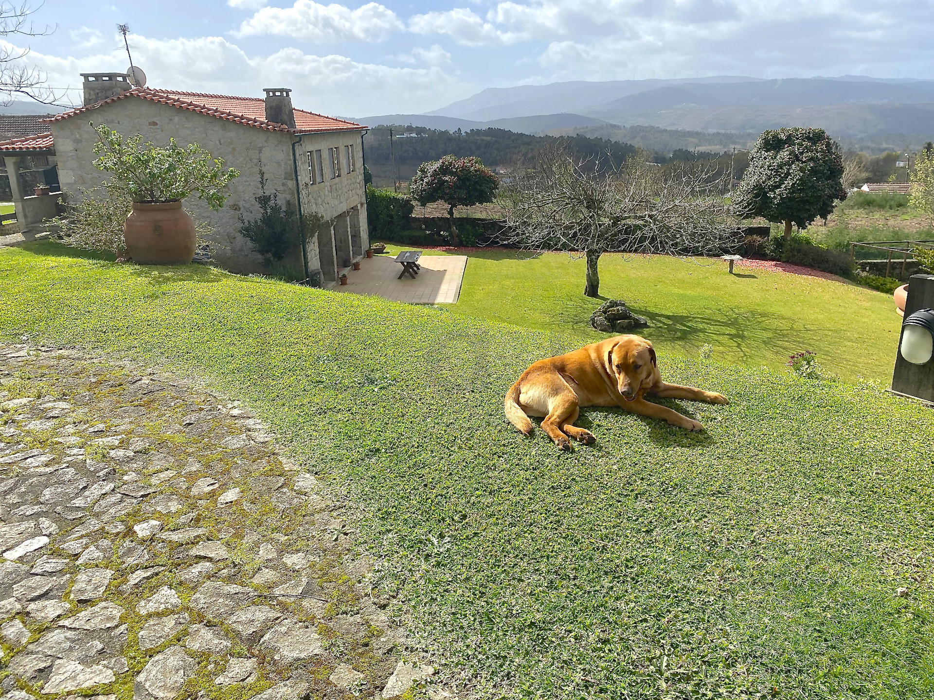 Rural Tourism Farm plot on the Caminho de Santiago