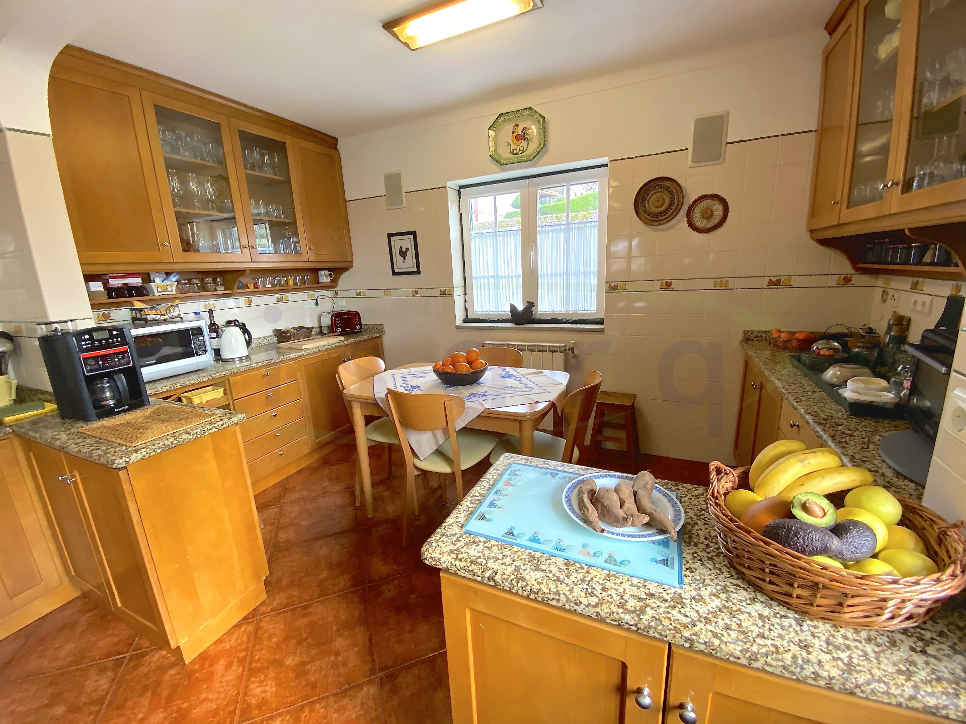 Rural Tourism Farm plot on the Caminho de Santiago