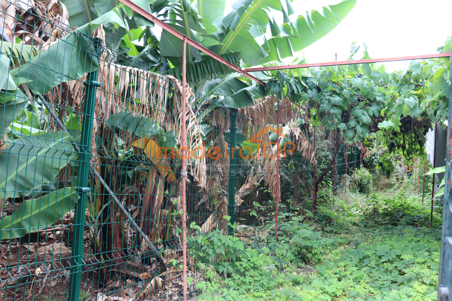 vivienda Desocupada 3 habitaciones