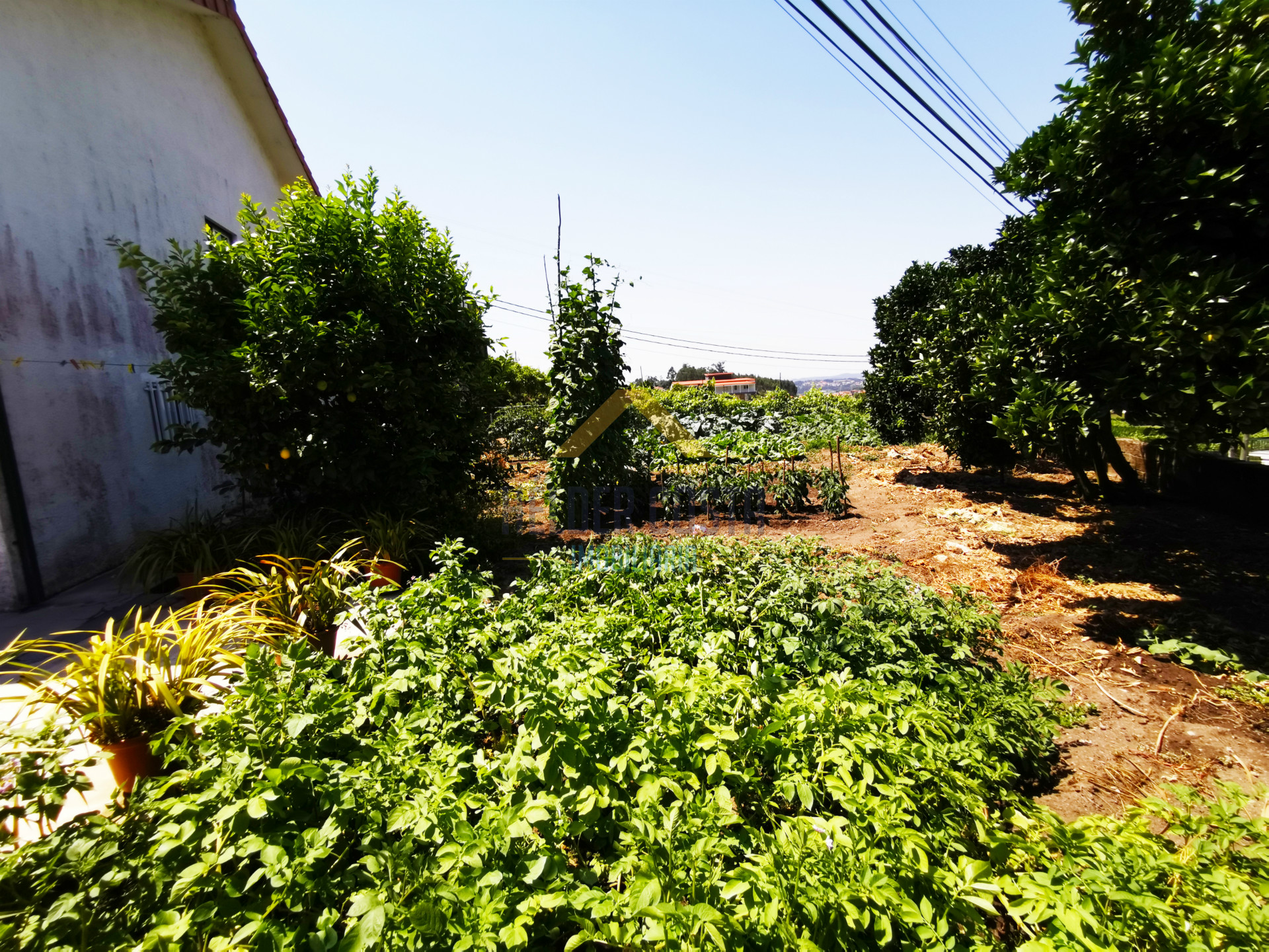 Vivienda 3 habitaciones