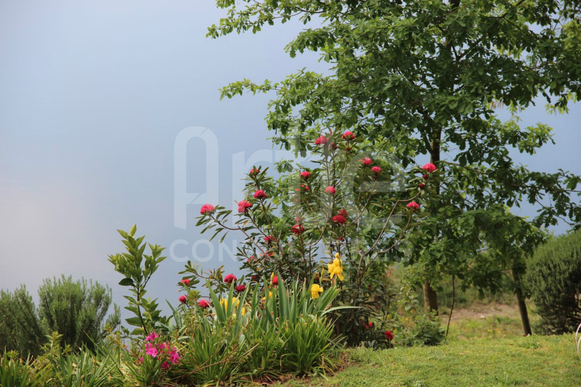 Quinta T3 em Couto Esteves para AL