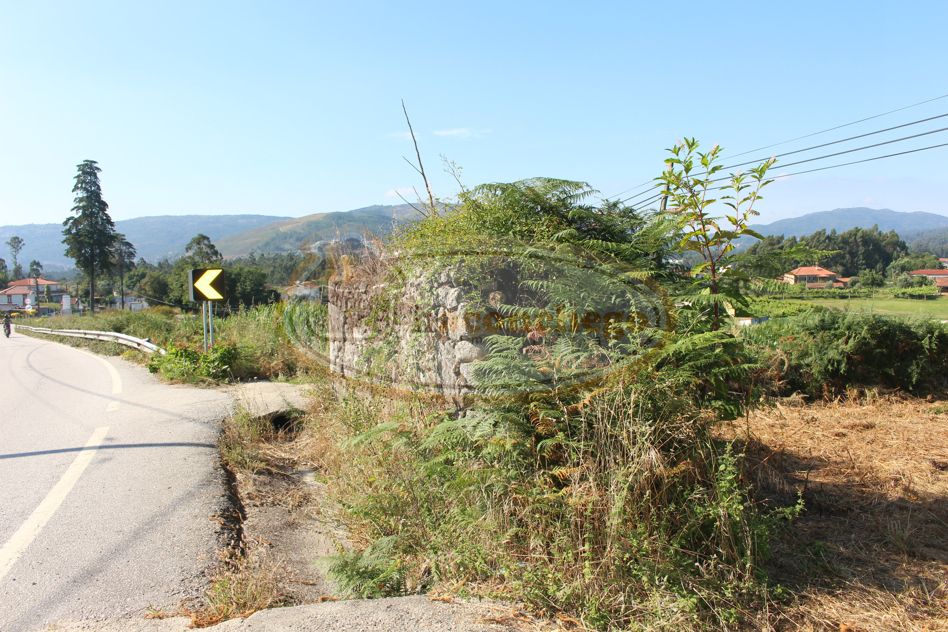 Terreno