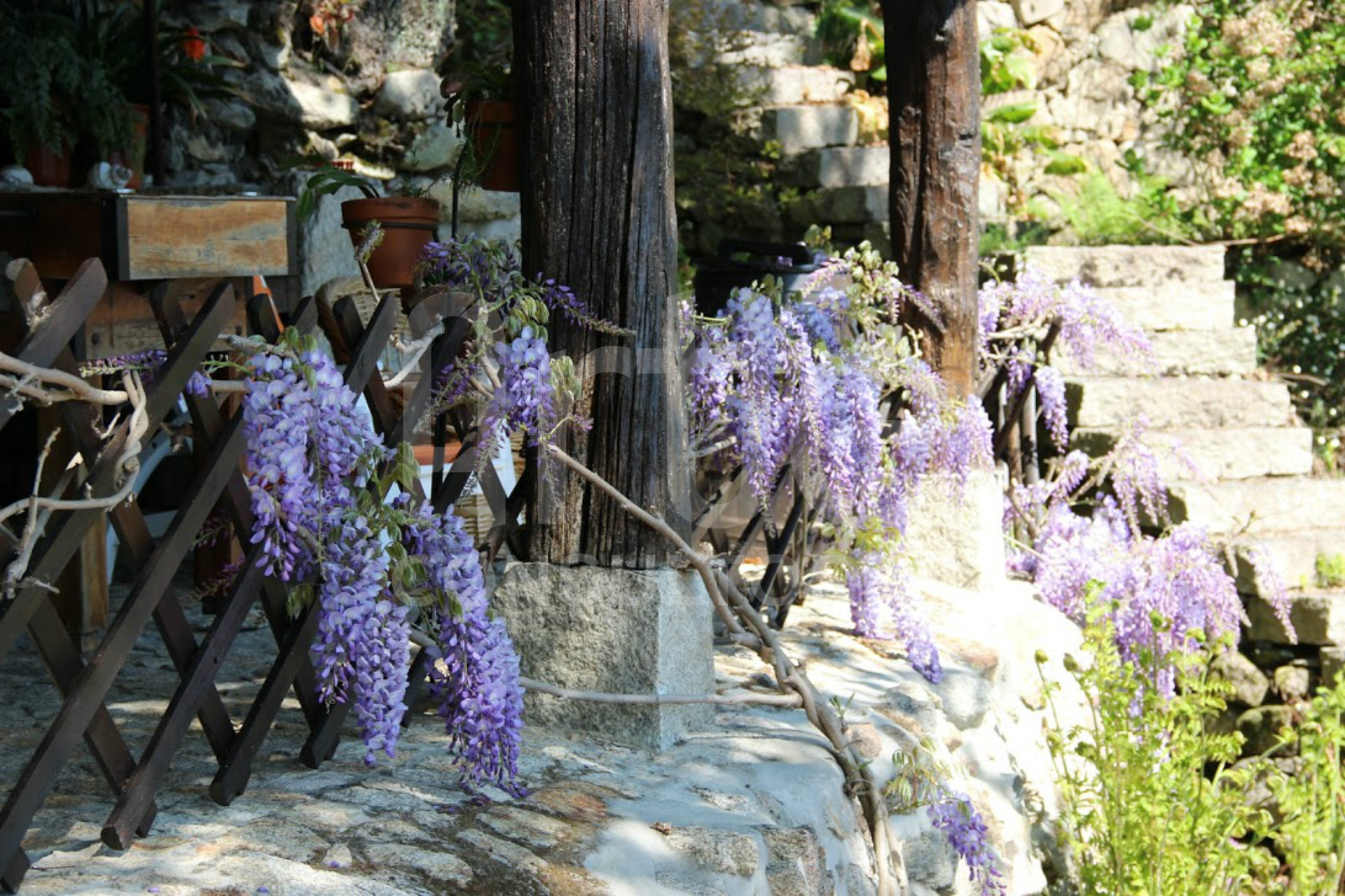 Quinta T3 em Couto Esteves para AL