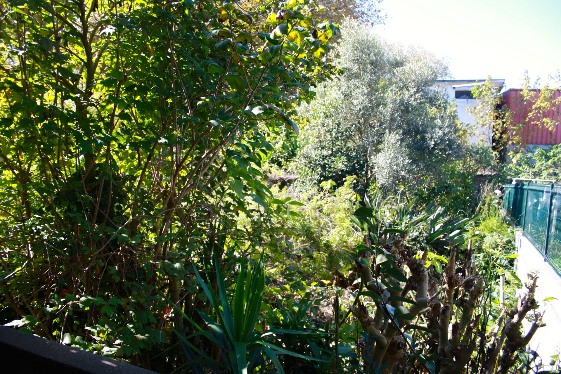Doppelhaus 4 Schlafzimmer