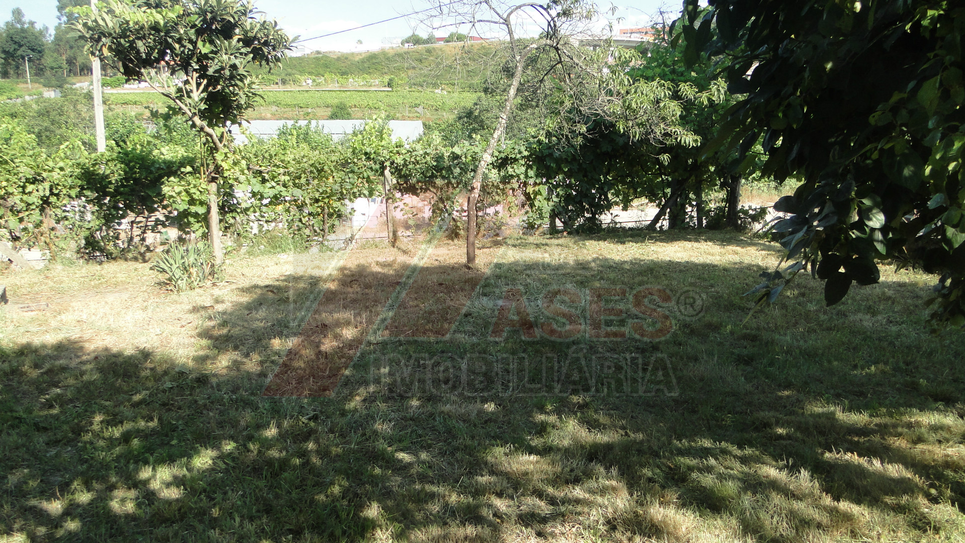 Vivienda 6 habitaciones