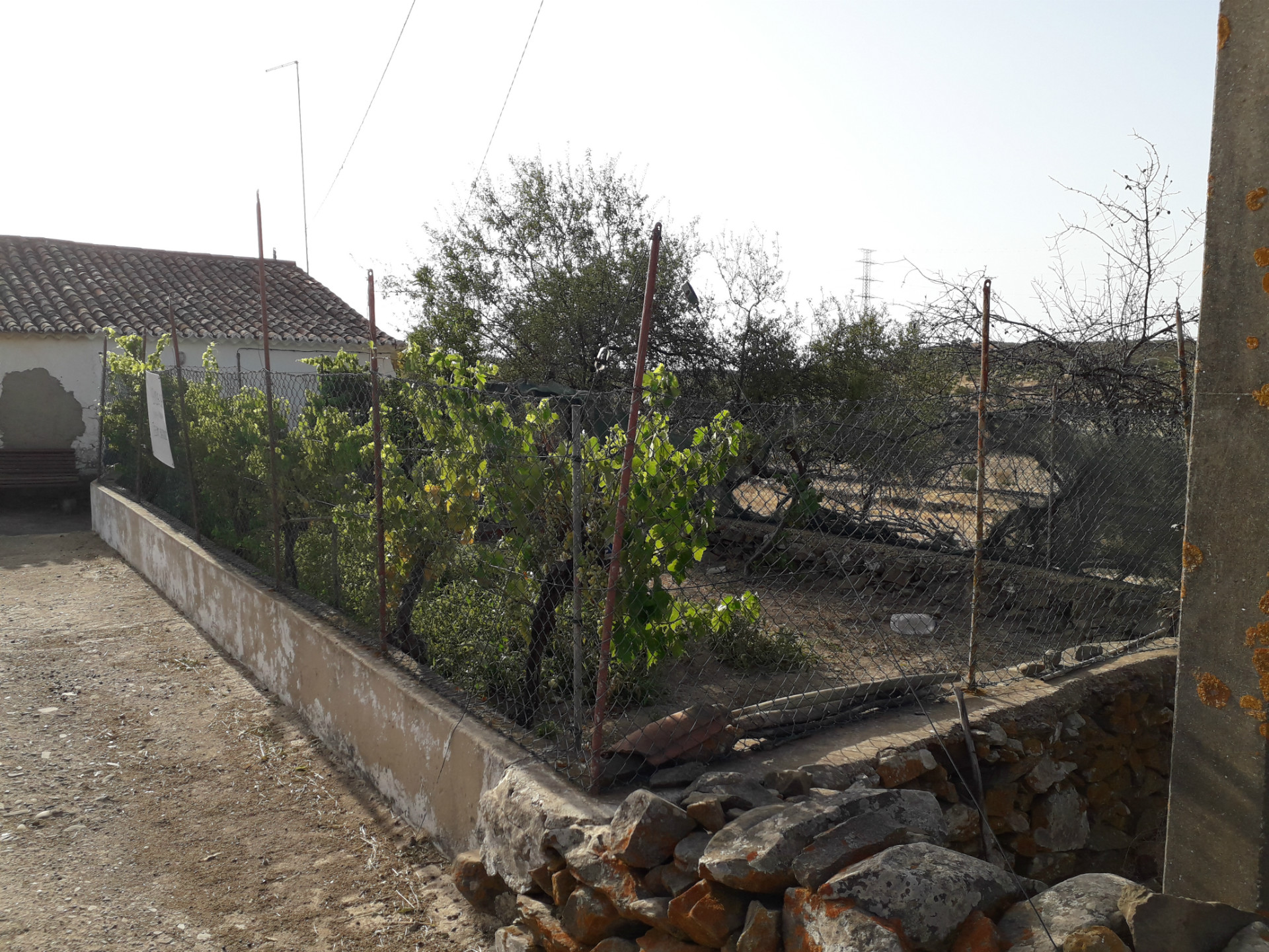 Detached house to restore T1