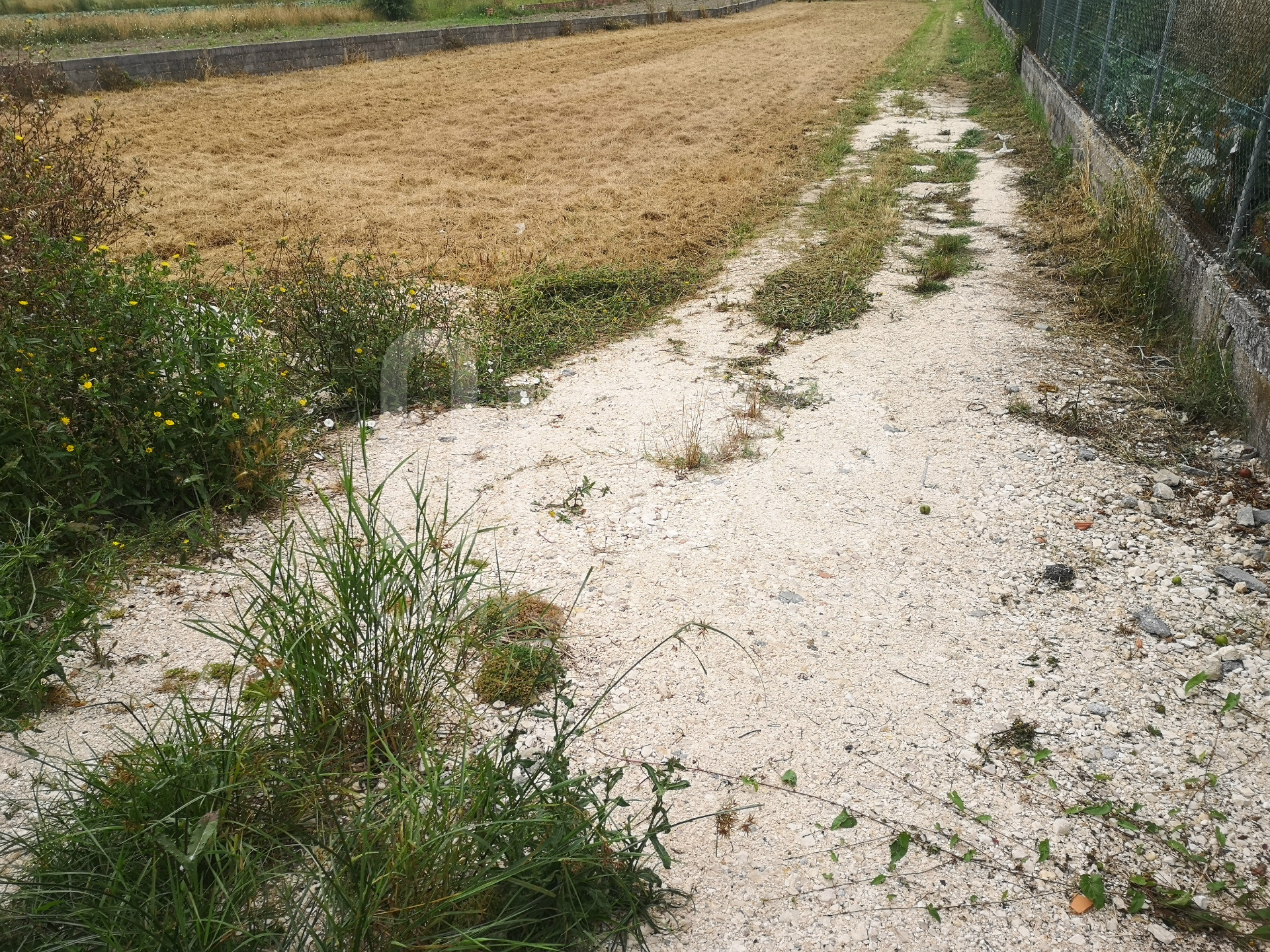 Terrain à bâtir
