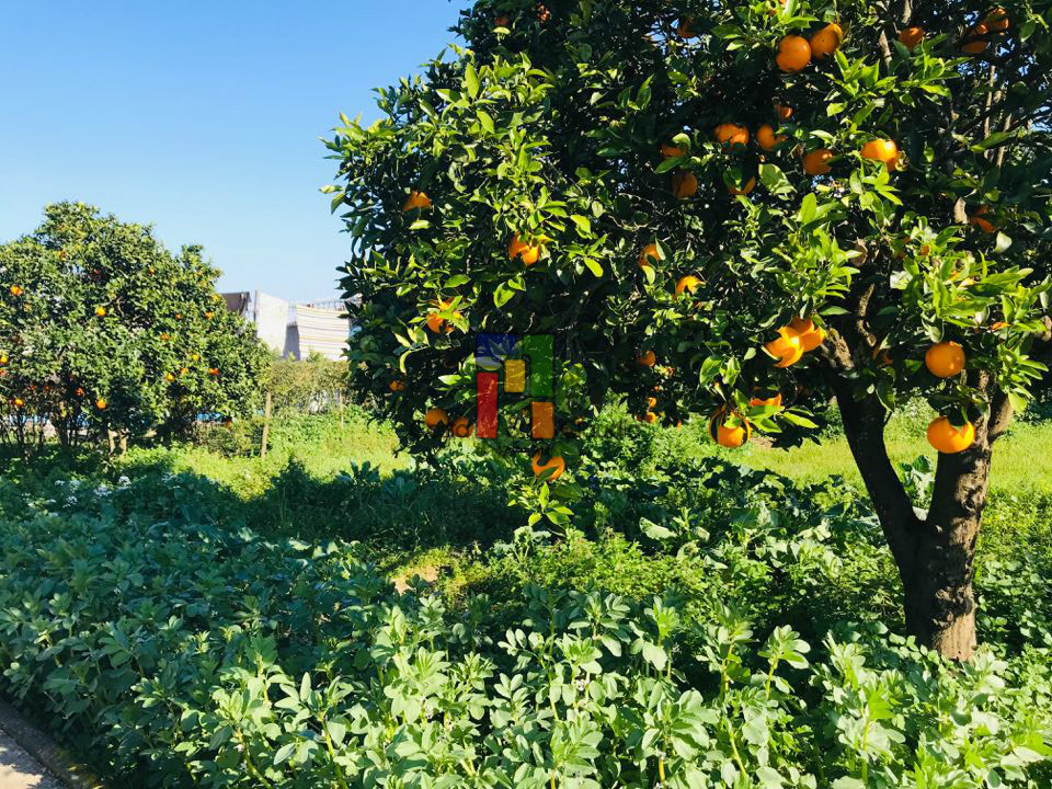 Einfamilienhaus 6 Schlafzimmer