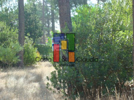 Lotissement de terrain 3 Chambre(s)