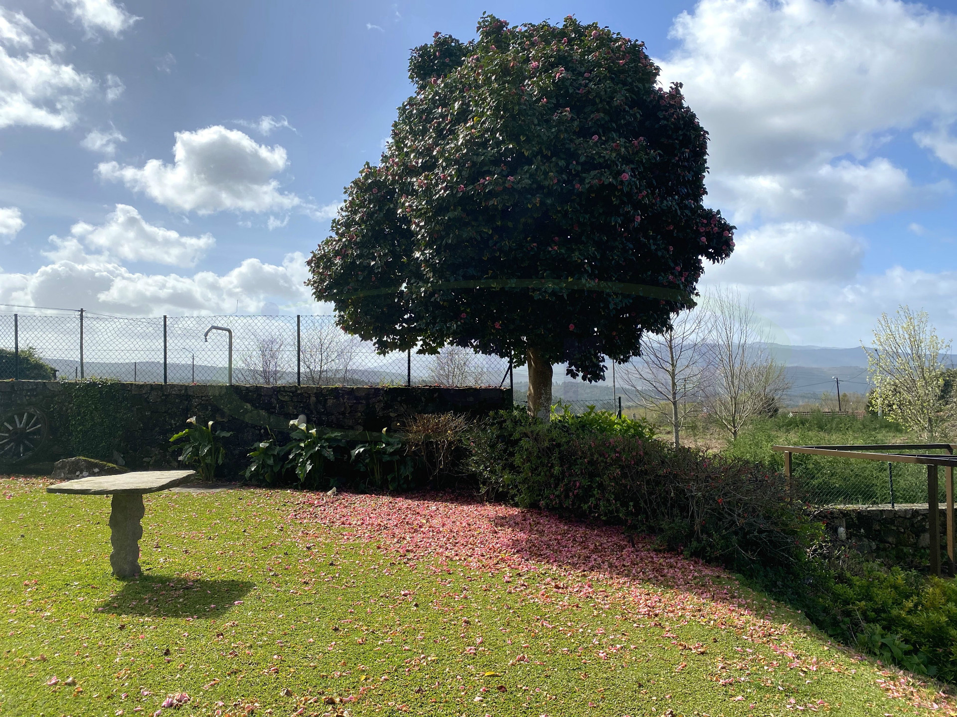 Rural Tourism Farm plot on the Caminho de Santiago