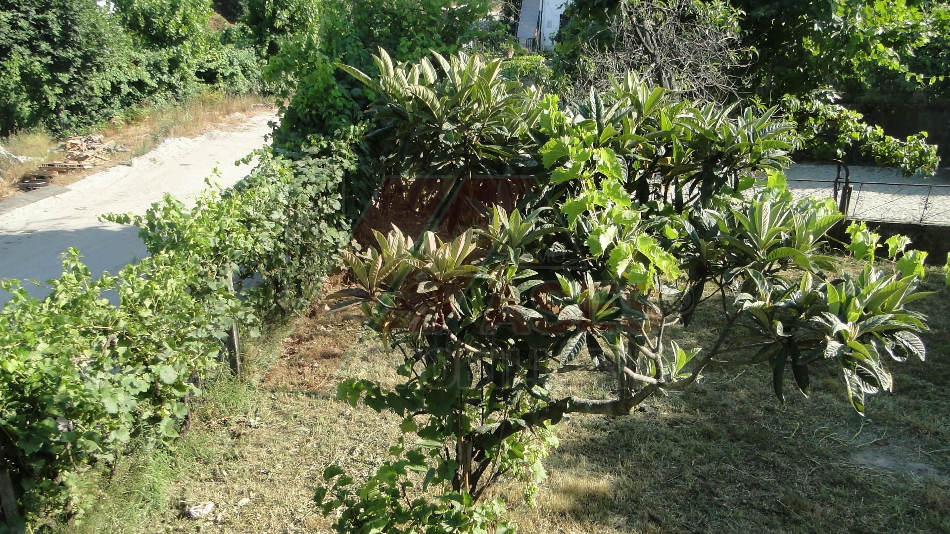 Vivienda 6 habitaciones