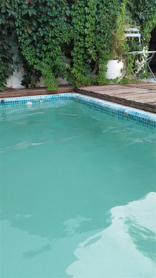 Moradia T4 com piscina no centro histórico de Arronches